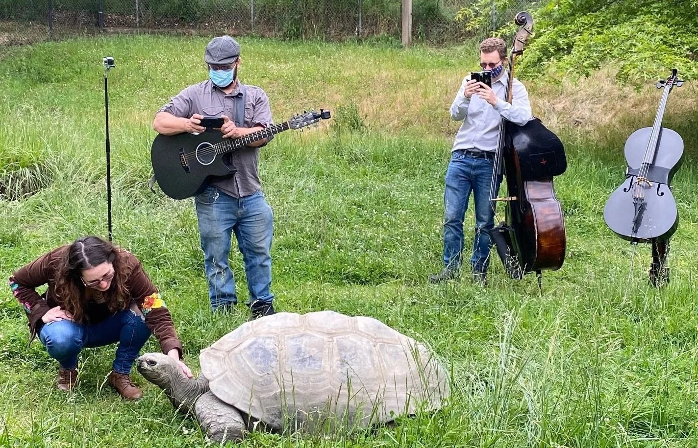 This photo is from 2020 during the lockdown. I had read an article about the animals at the local zoos missing people, so I contacted the Oakland Zoo and asked them if they would like a concert for the animals. I was happily surprised when they said 