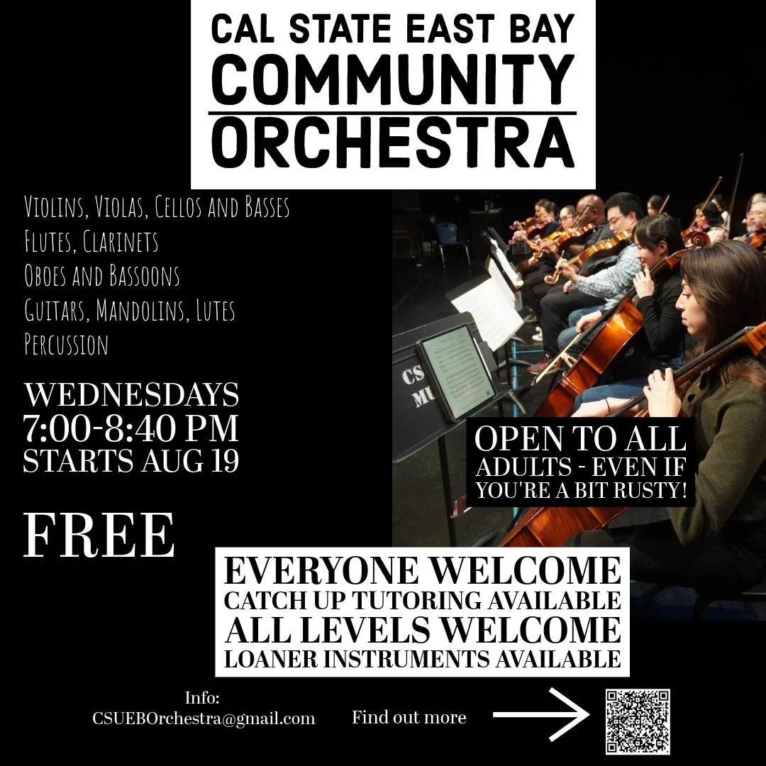 Hi all! When I'm not touring with Dirty Cello, I'm the orchestra director over at Cal State East Bay in Hayward. I restarted the orchestra a couple years ago, and it's so much fun! We play a variety of music and it's open to community members. If you