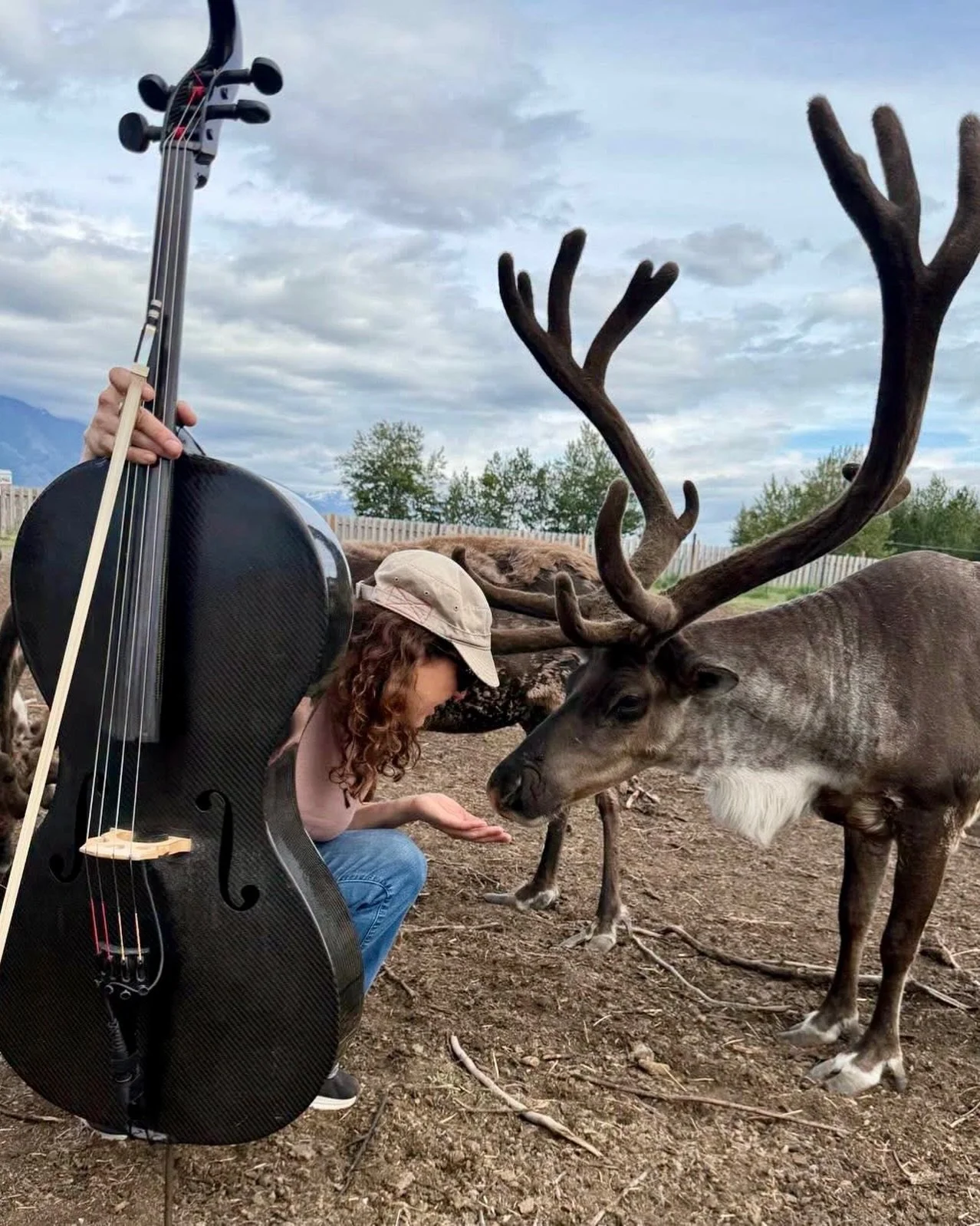 On a recent tour to Alaska, we got a chance to perform for reindeers. I love animals, so anytime there&rsquo;s a chance to play for them, we&rsquo;ll do it.
So far we&rsquo;ve performed for elephants, musk ox, reindeers, cats, goats, water buffalo, a