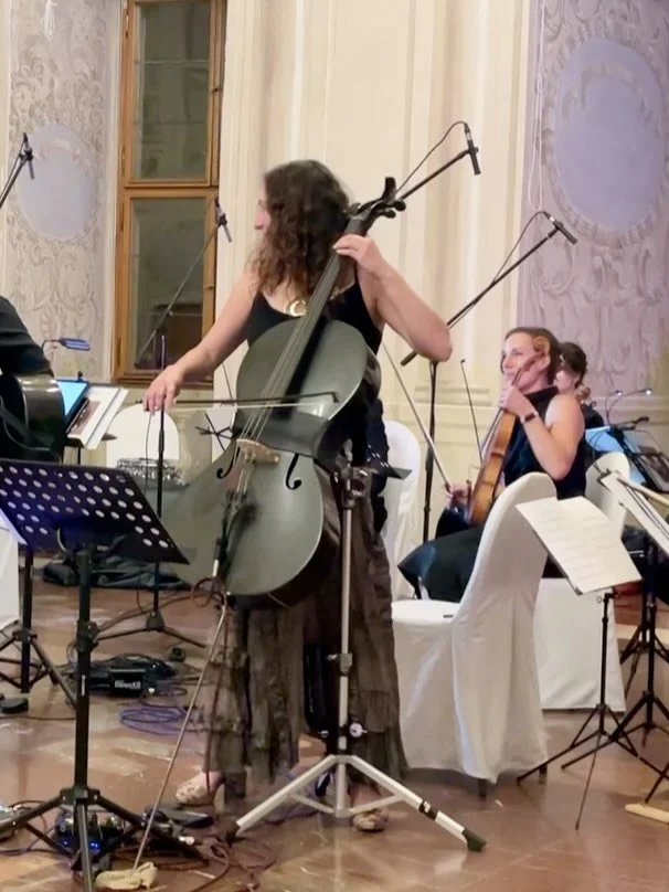 Here&rsquo;s a video from the Renegade Orchestra, the Czech version, where we had a lot of fun rocking out in a palace. Come check out the Renegade Orchestra this Friday in Davis and/or send your friends. Check out the great article from the Sacramen
