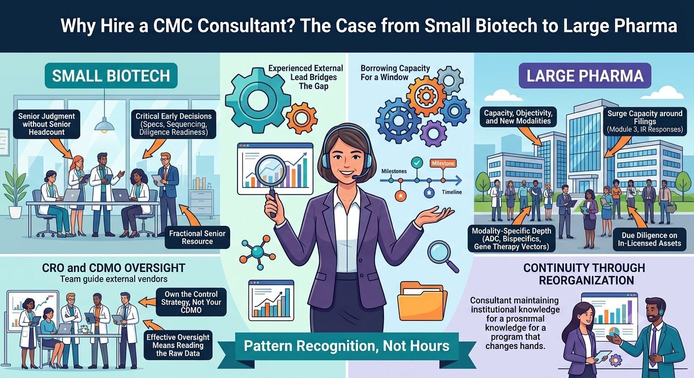 Why Hire a CMC Consultant? The Case from Small Biotech to Large Pharma