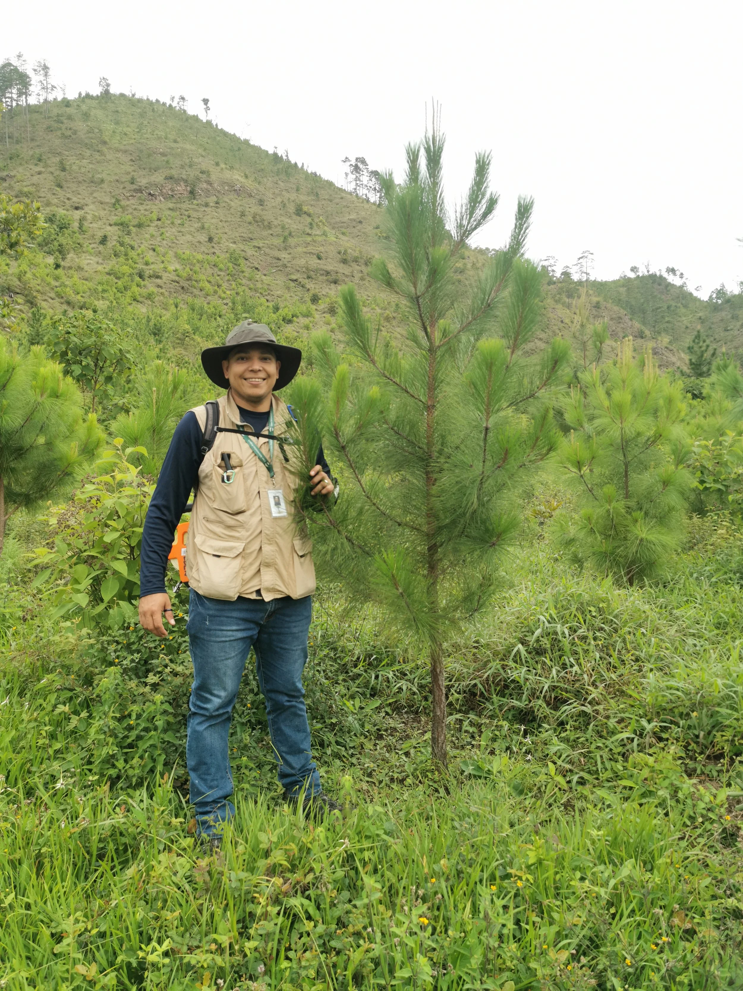 A man in outdoor gear smiling and standing next to a small pine tree in a green mountainous area.