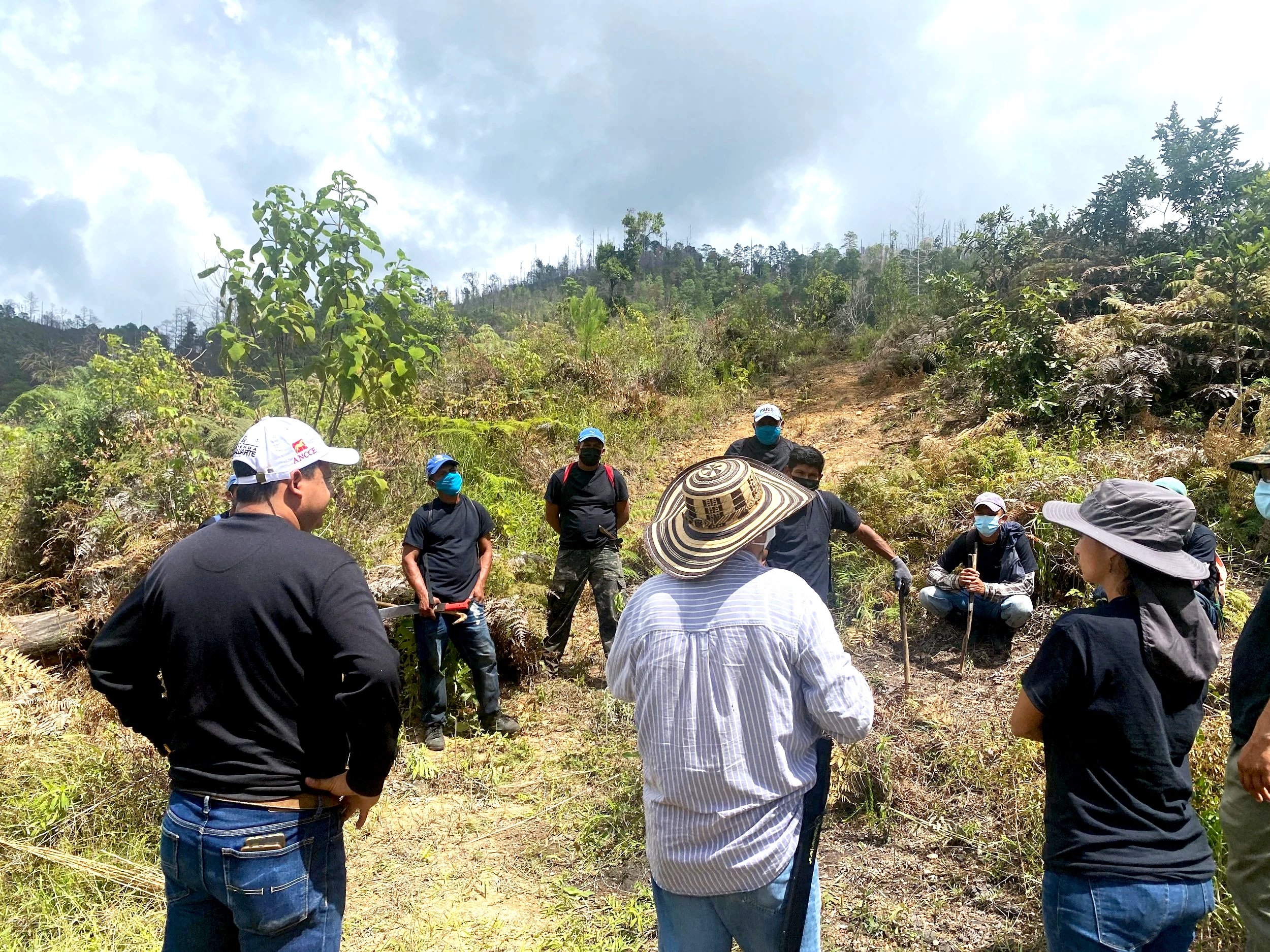 A group of people outdoors in a hilly, forested area, wearing masks and hats, gathered around a person showing something on the ground.