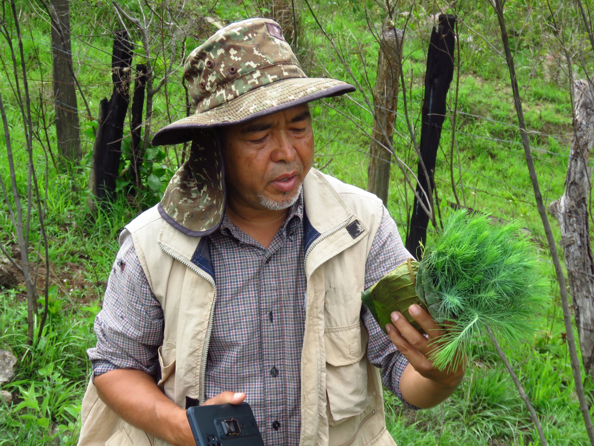 A man outdoors in a forest examines a large clump of green moss or lichen, wearing a camouflage hat, a beige vest, and a checked shirt, holding a camera in his other hand.