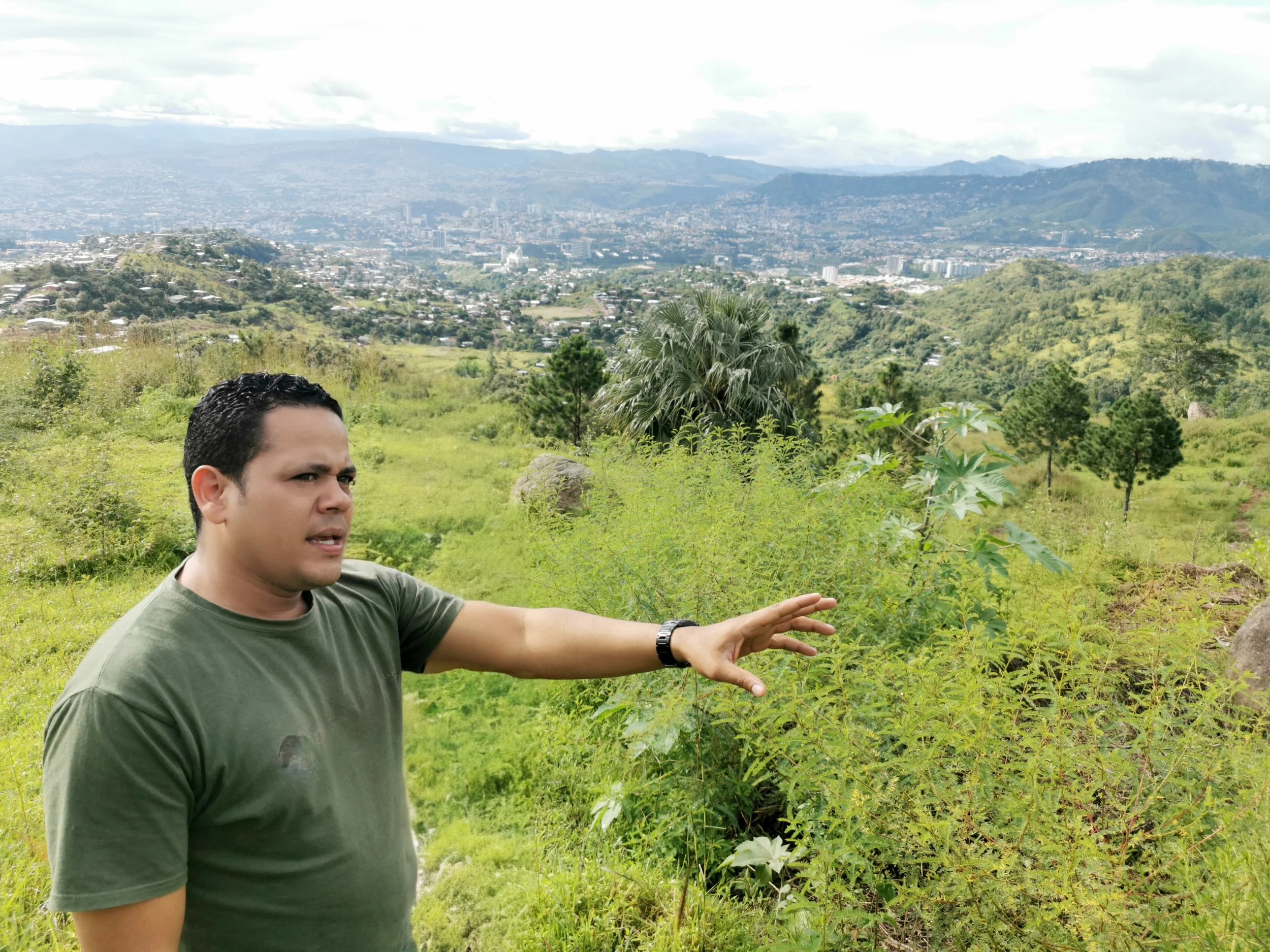 A man in a green shirt standing on a hilltop with greenery and trees, with a cityscape and mountains in the background.