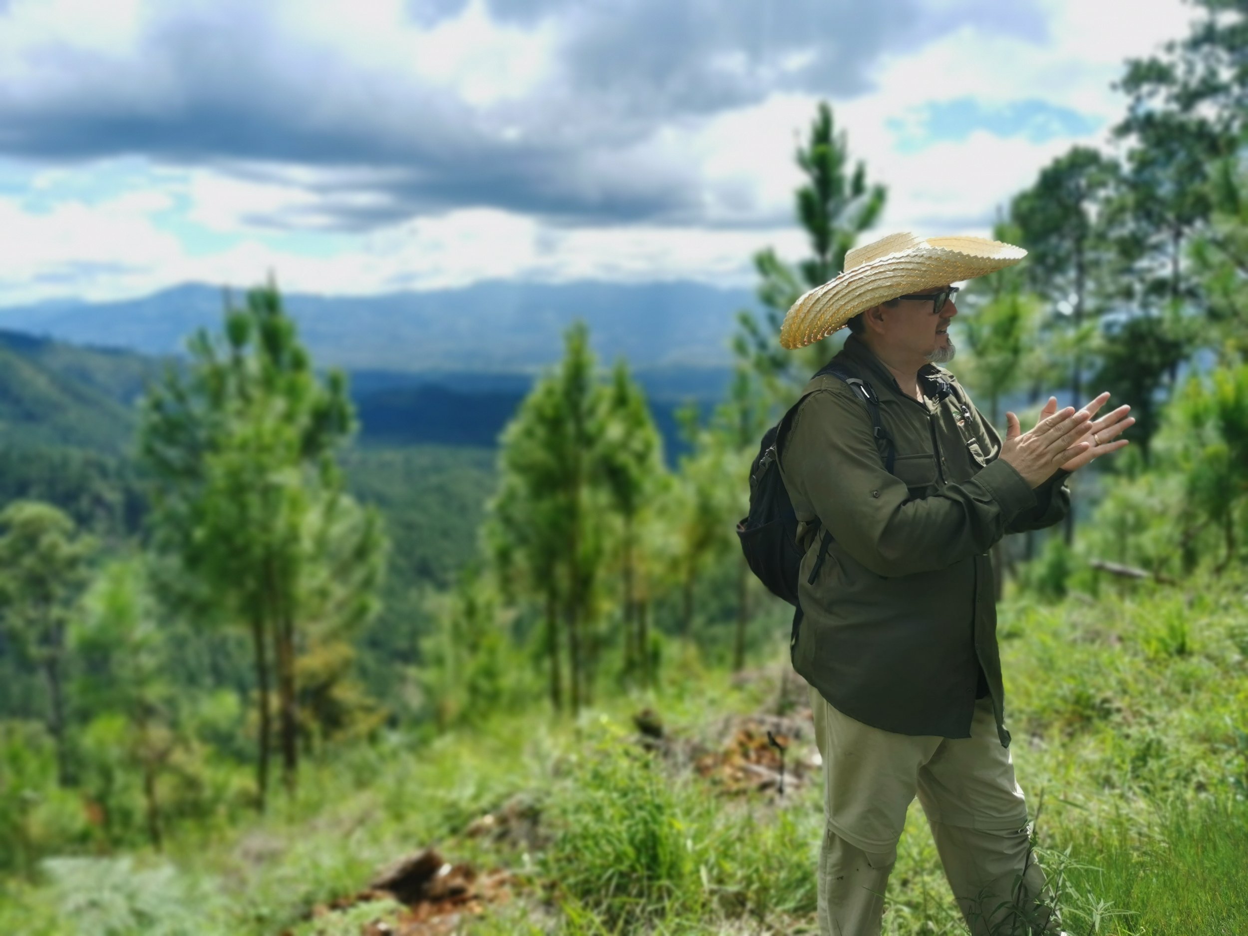 A person with a large sun hat and glasses stands in a green forested area, with mountains and cloudy sky in the background.