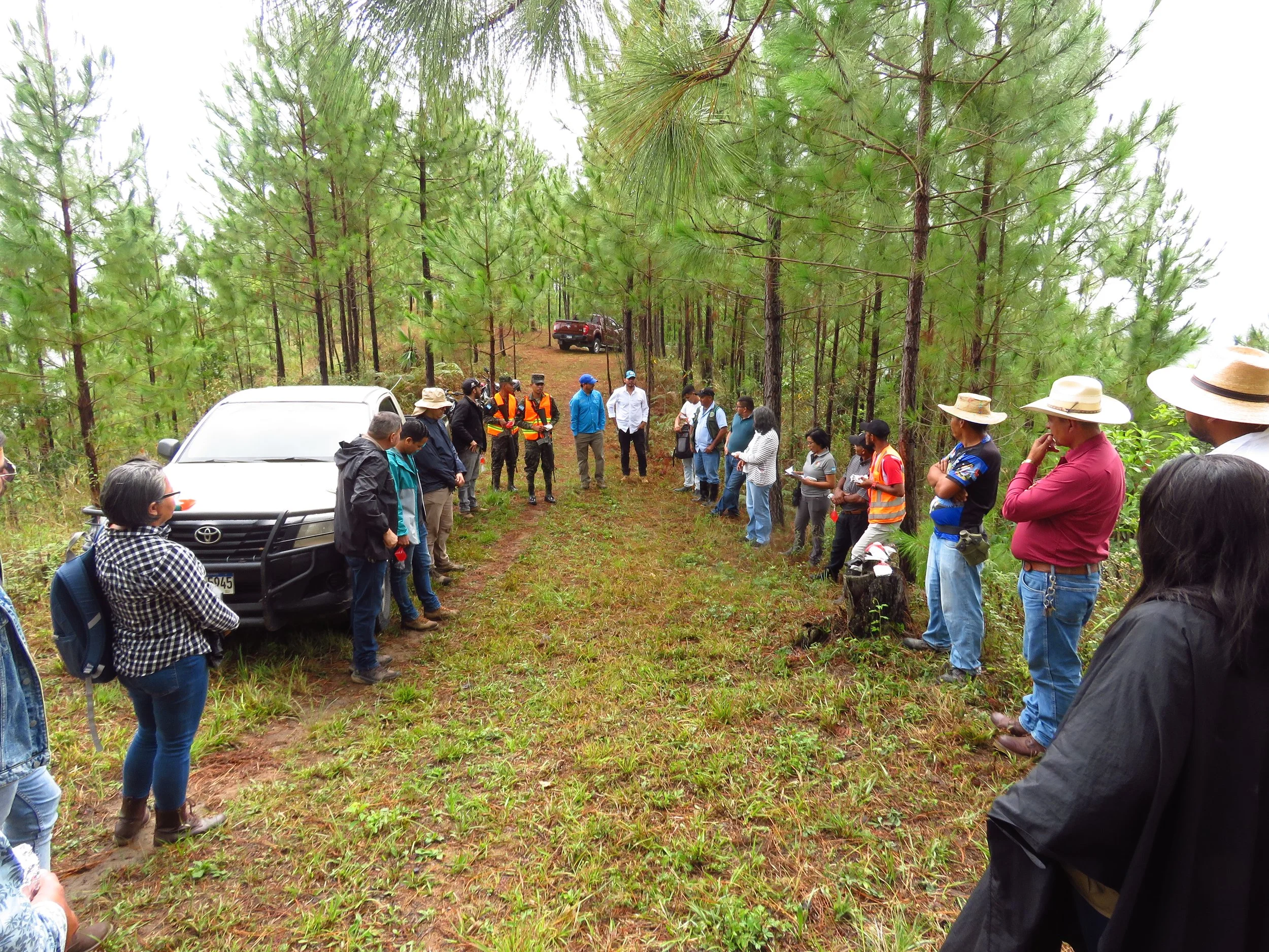 People gathered in a forest clearing with two vehicles, attending a meeting or event.