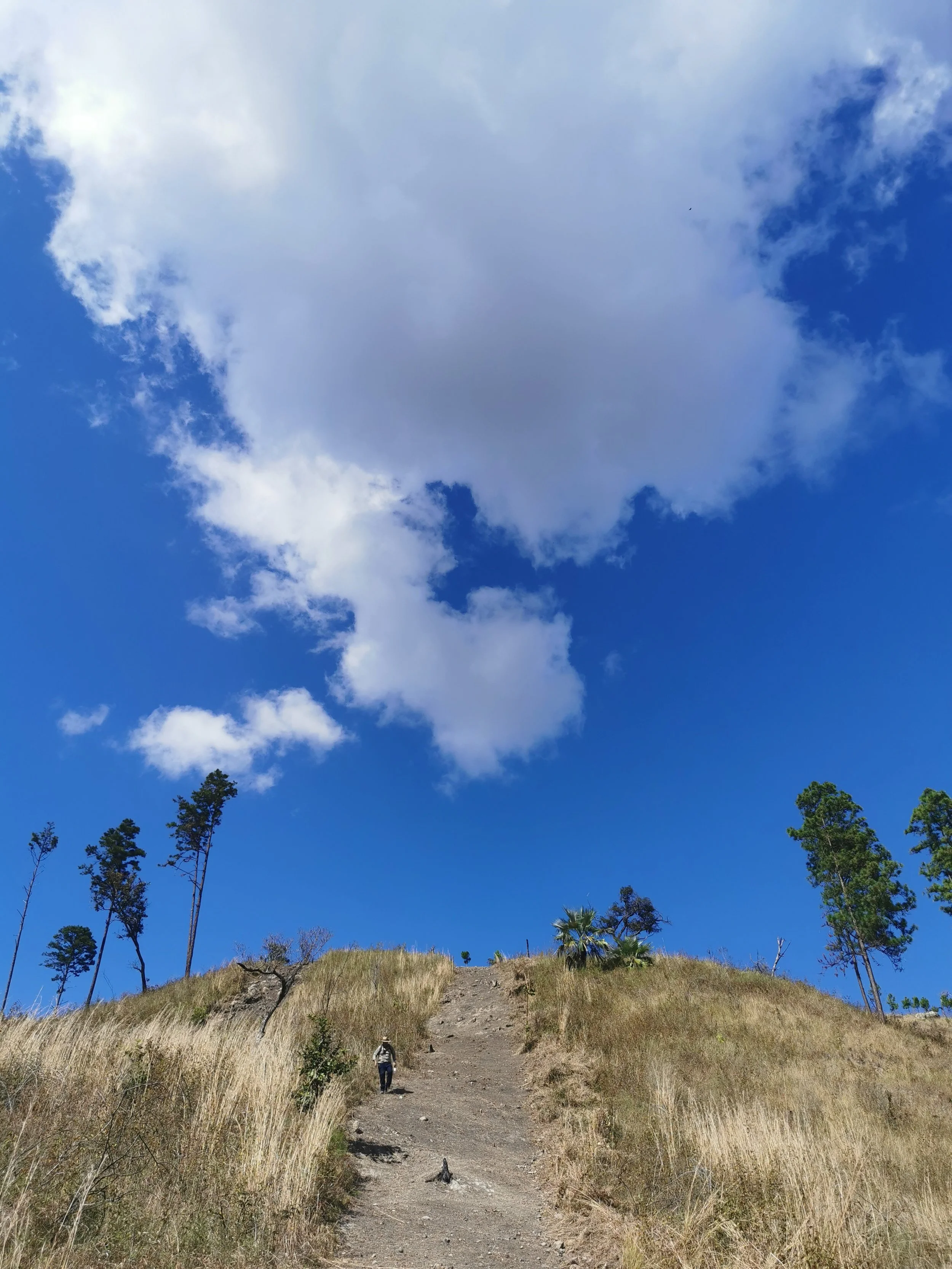 A person hiking up a dirt trail on a grassy hillside with trees, under a blue sky with scattered clouds.