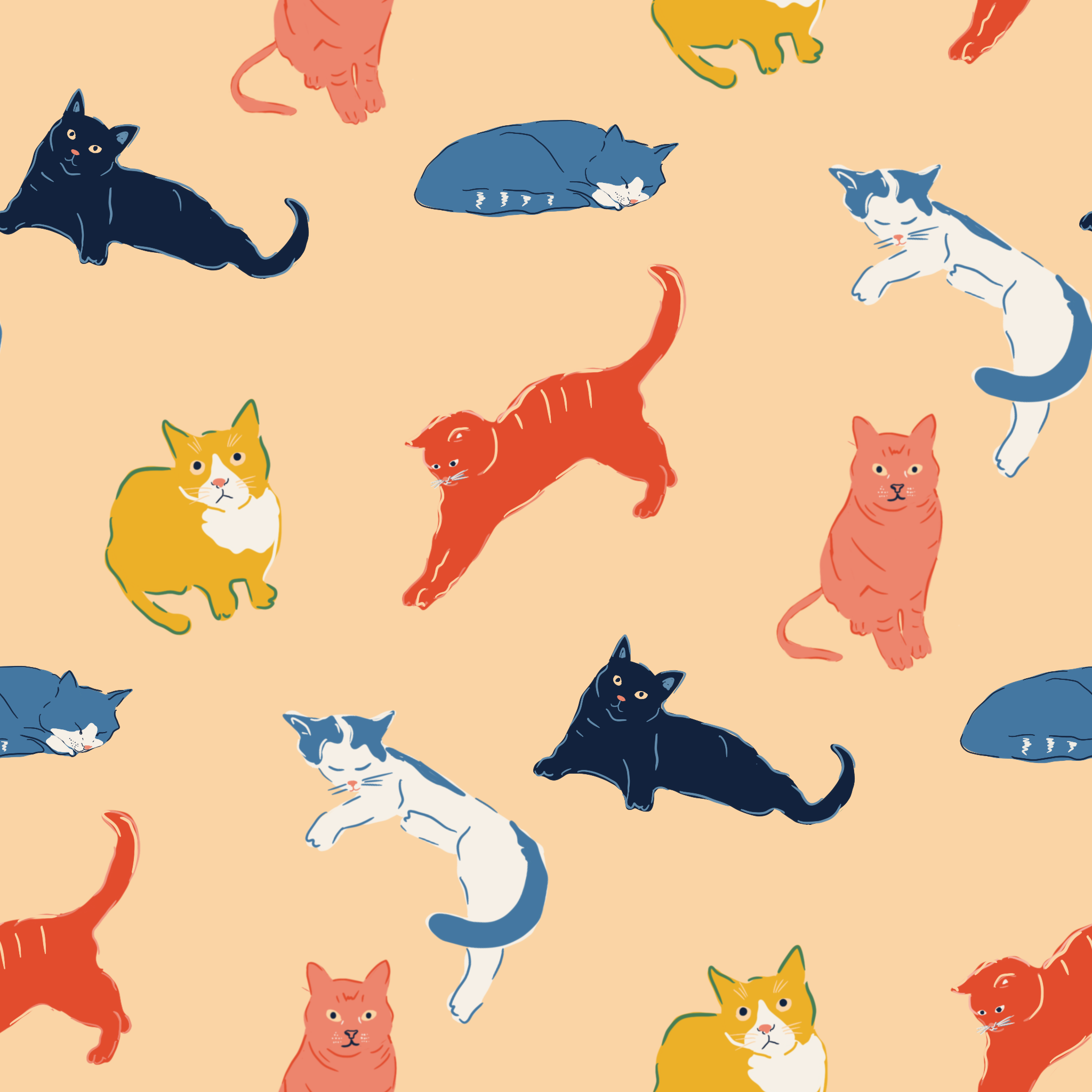Cat_Nap_Club.png
