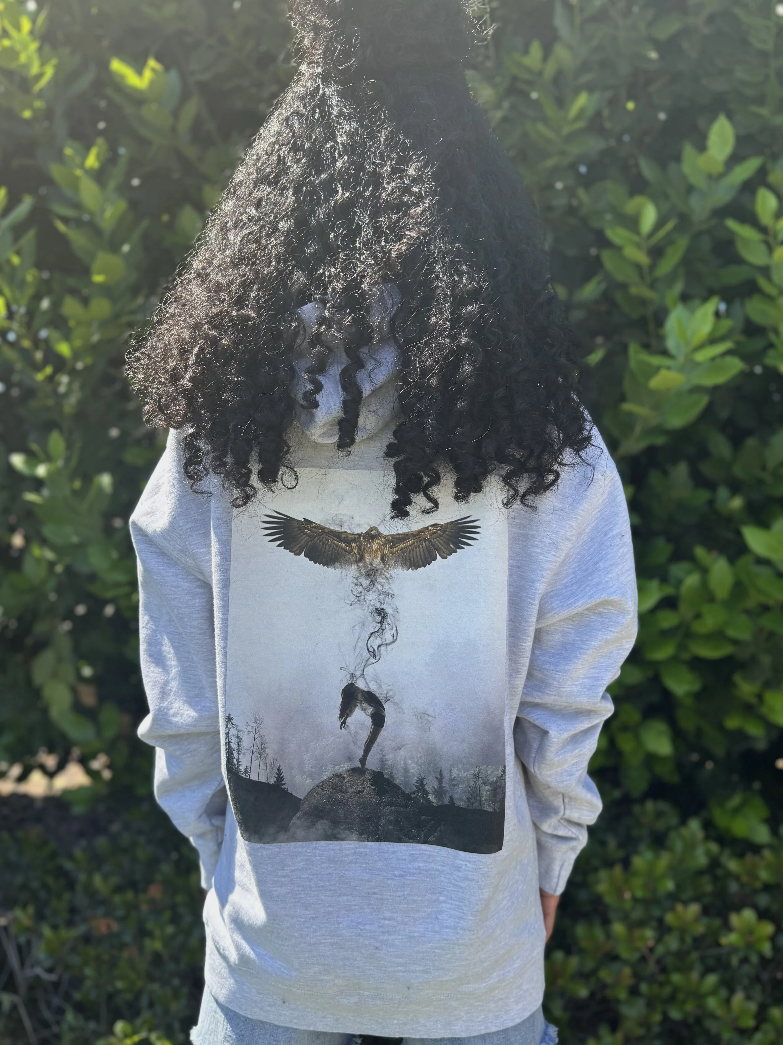 ascend hoodie 1.jpeg