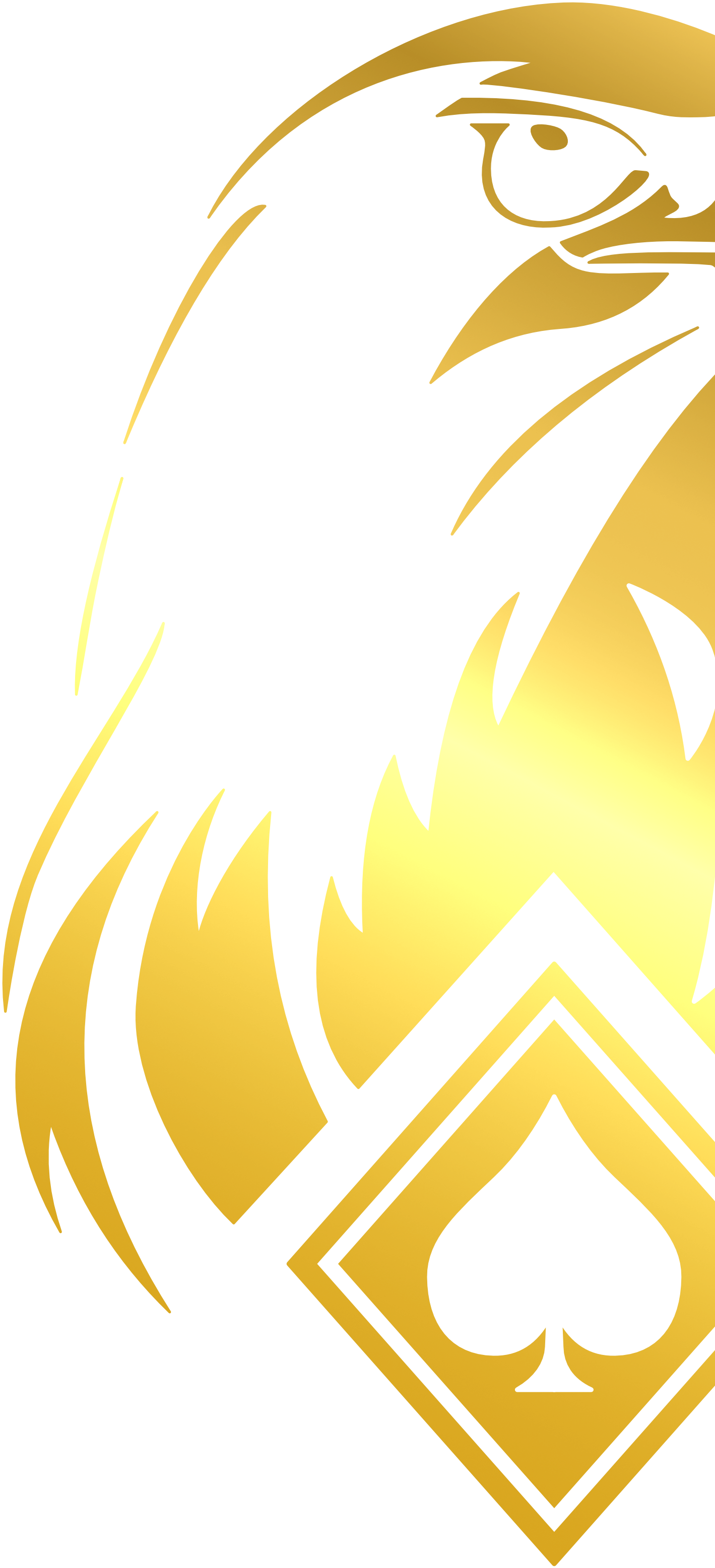 Image of a gold Bitcoin coin with a dollar sign engraved on it.