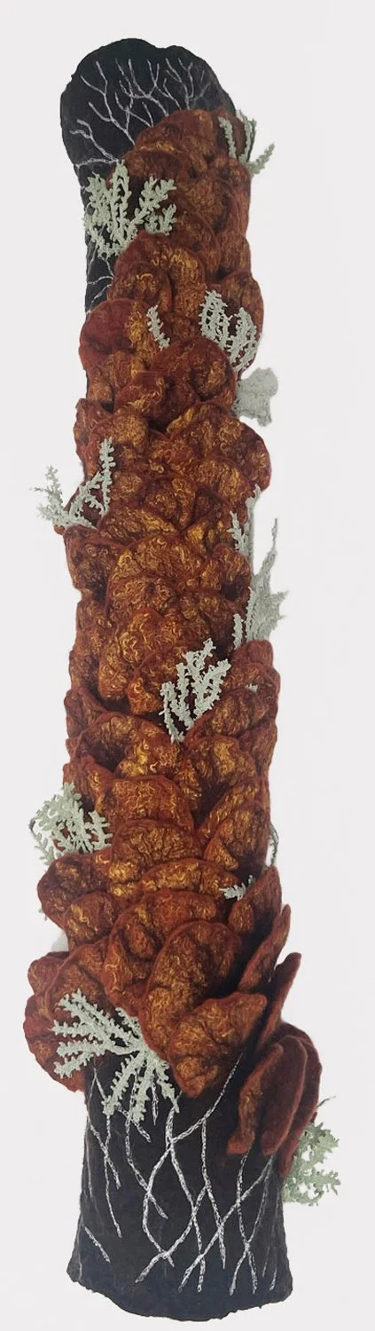 Nurse Log - Life in Transition #7,   25 x 8 x 5"