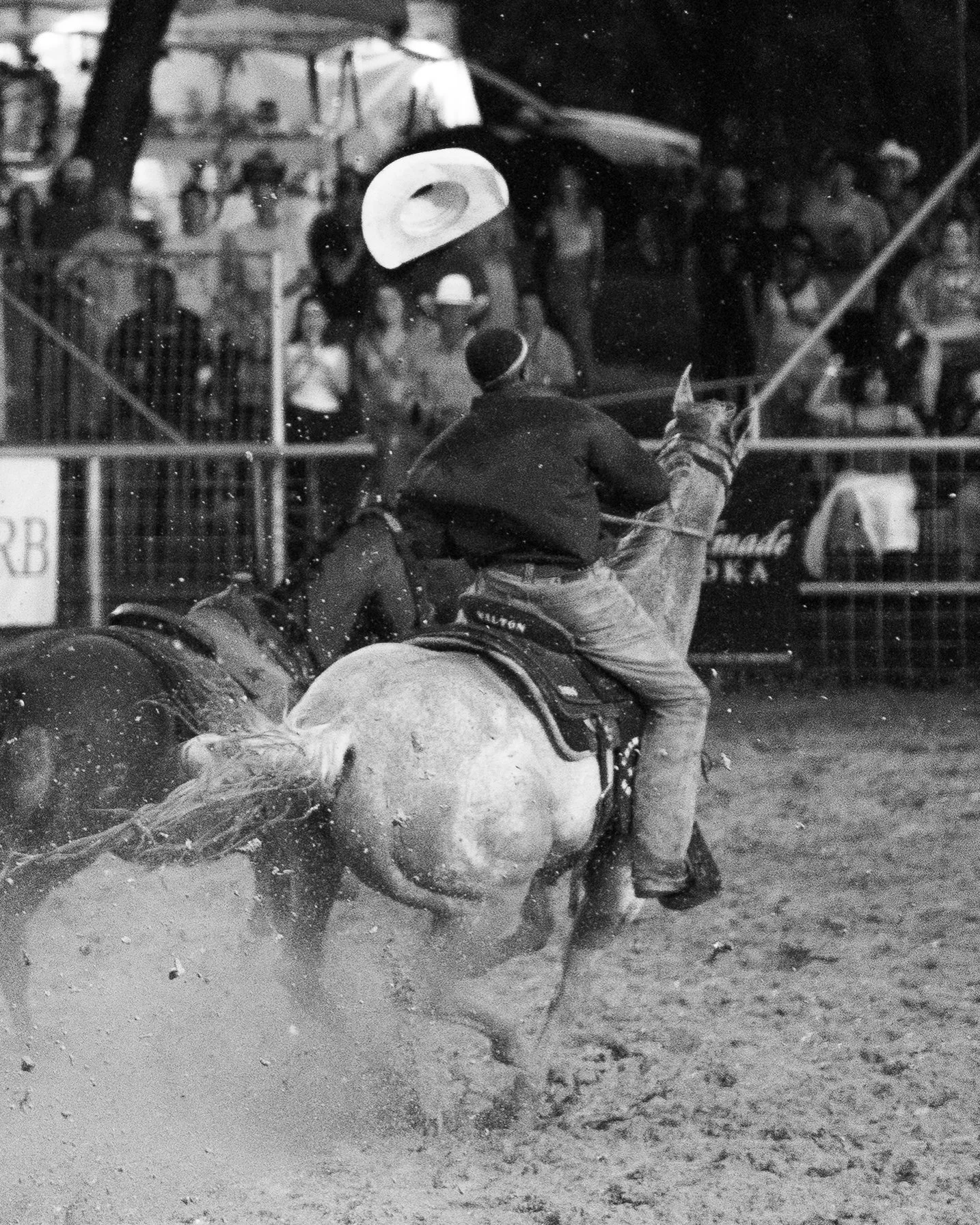 A cowboy riding a bucking horse at a rodeo, throwing his cowboy hat into the air as spectators watch.