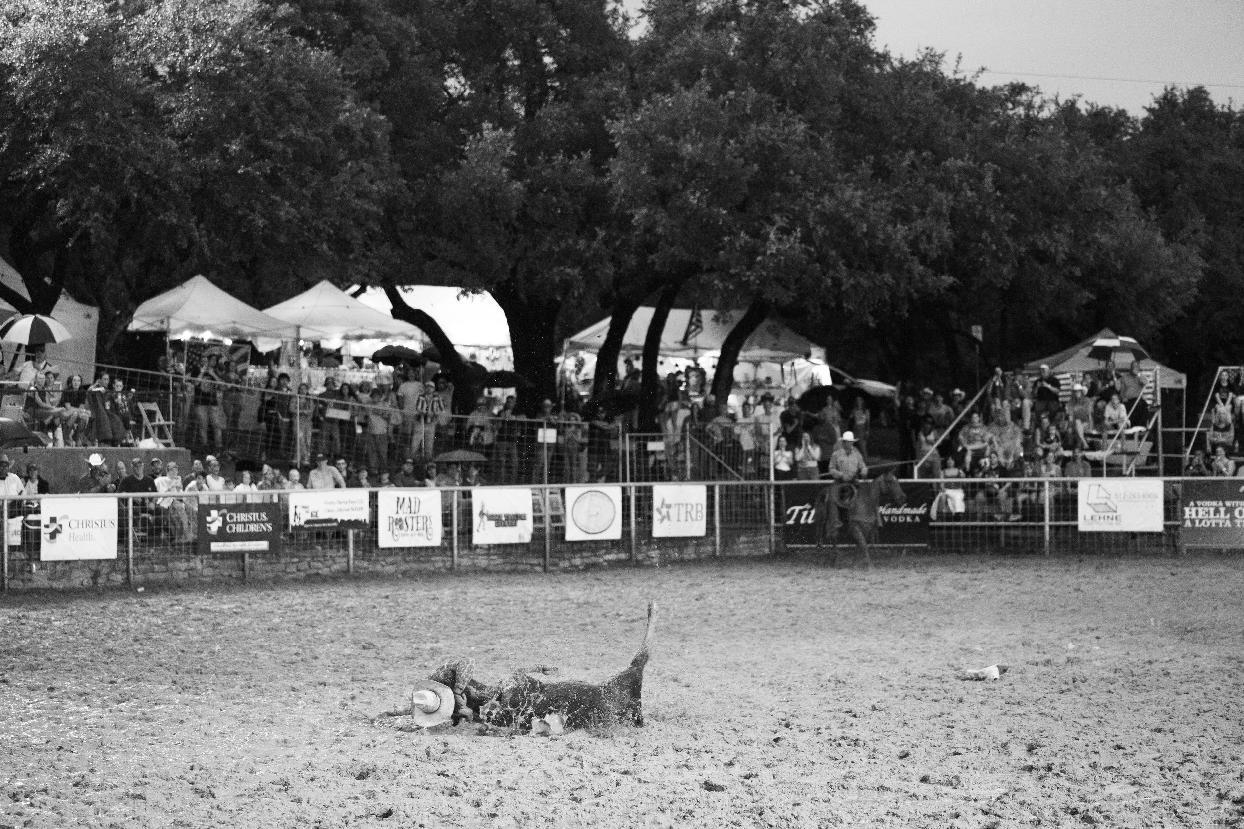 A rodeo scene in black and white, with a bull lying on the arena ground, covered in dirt, with its hat beside it. The background shows an audience behind a fence, sitting under tents and trees.