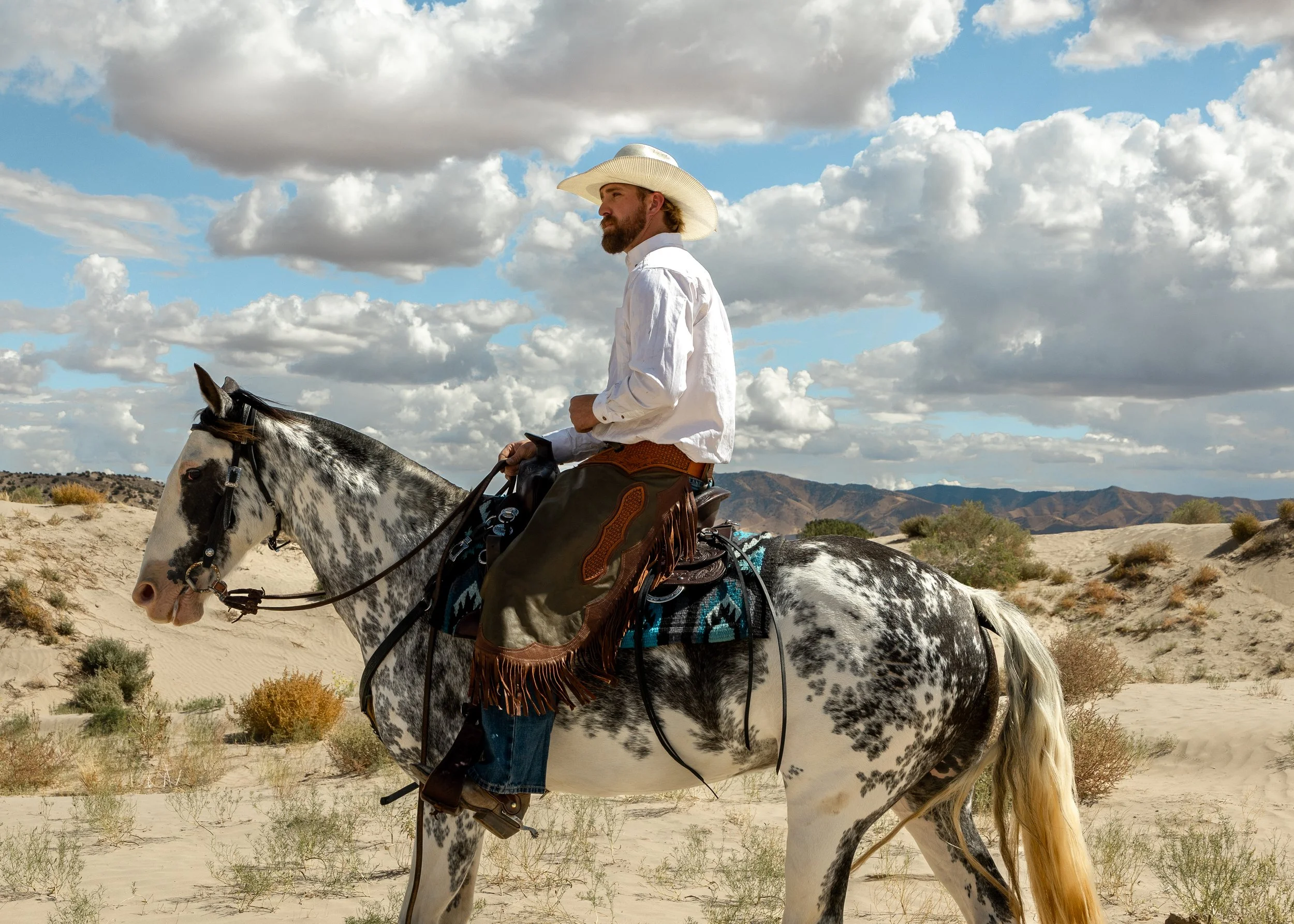 A man in cowboy attire riding a horse through a desert landscape with mountains and scattered bushes under a partly cloudy sky.