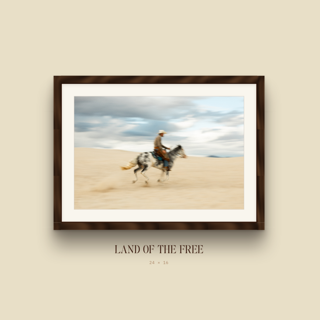 06_land_of_the_free.png