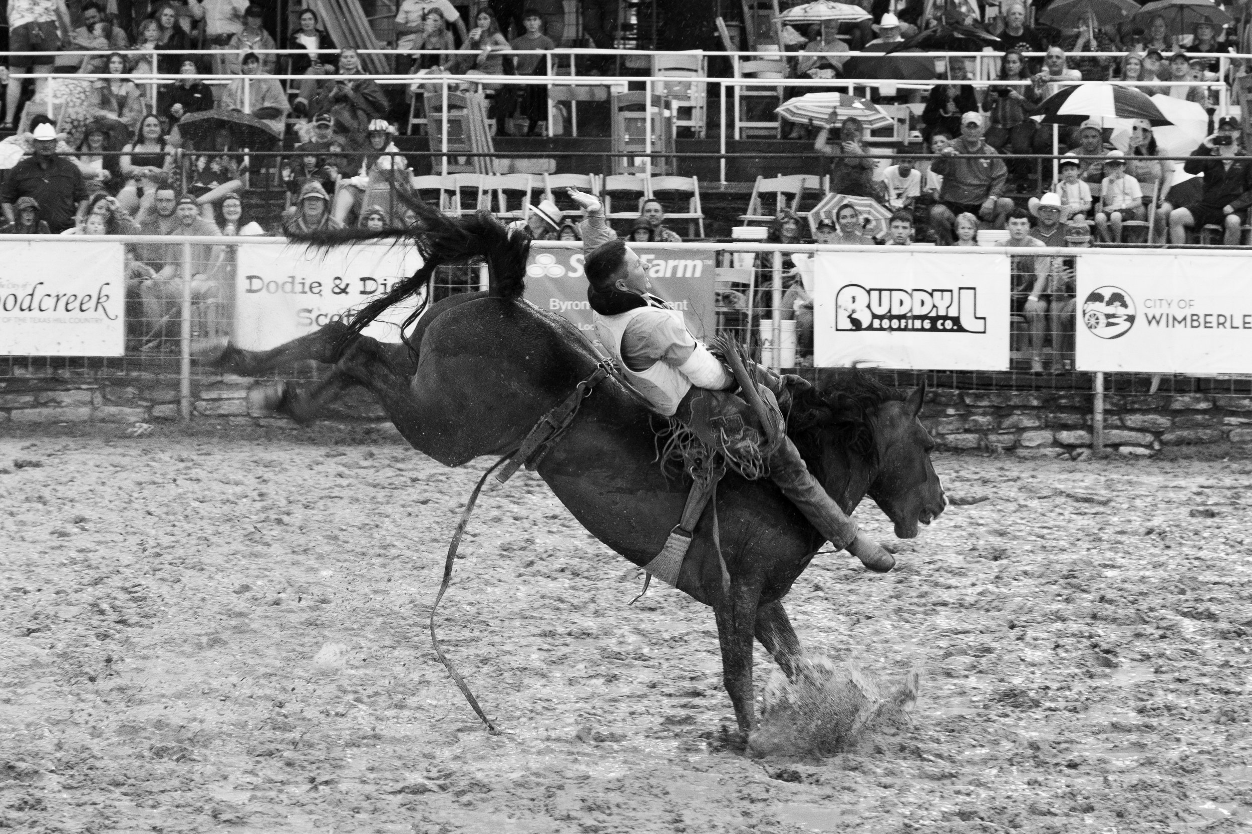 A rodeo rider falls off a bucking horse in front of a crowd, captured in black and white.