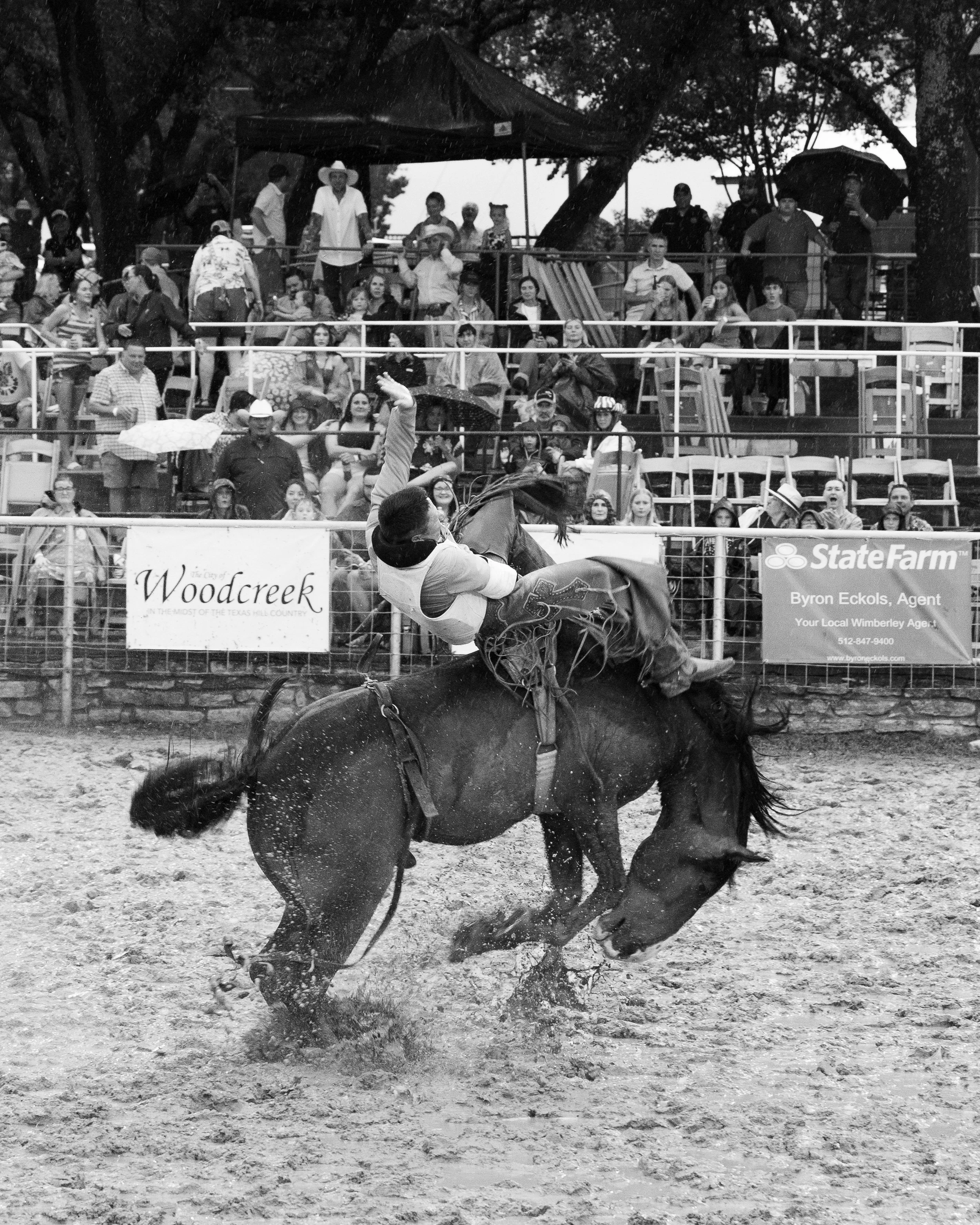A rodeo event with a cowboy falling off a bucking horse in an arena, audience watching from stands.