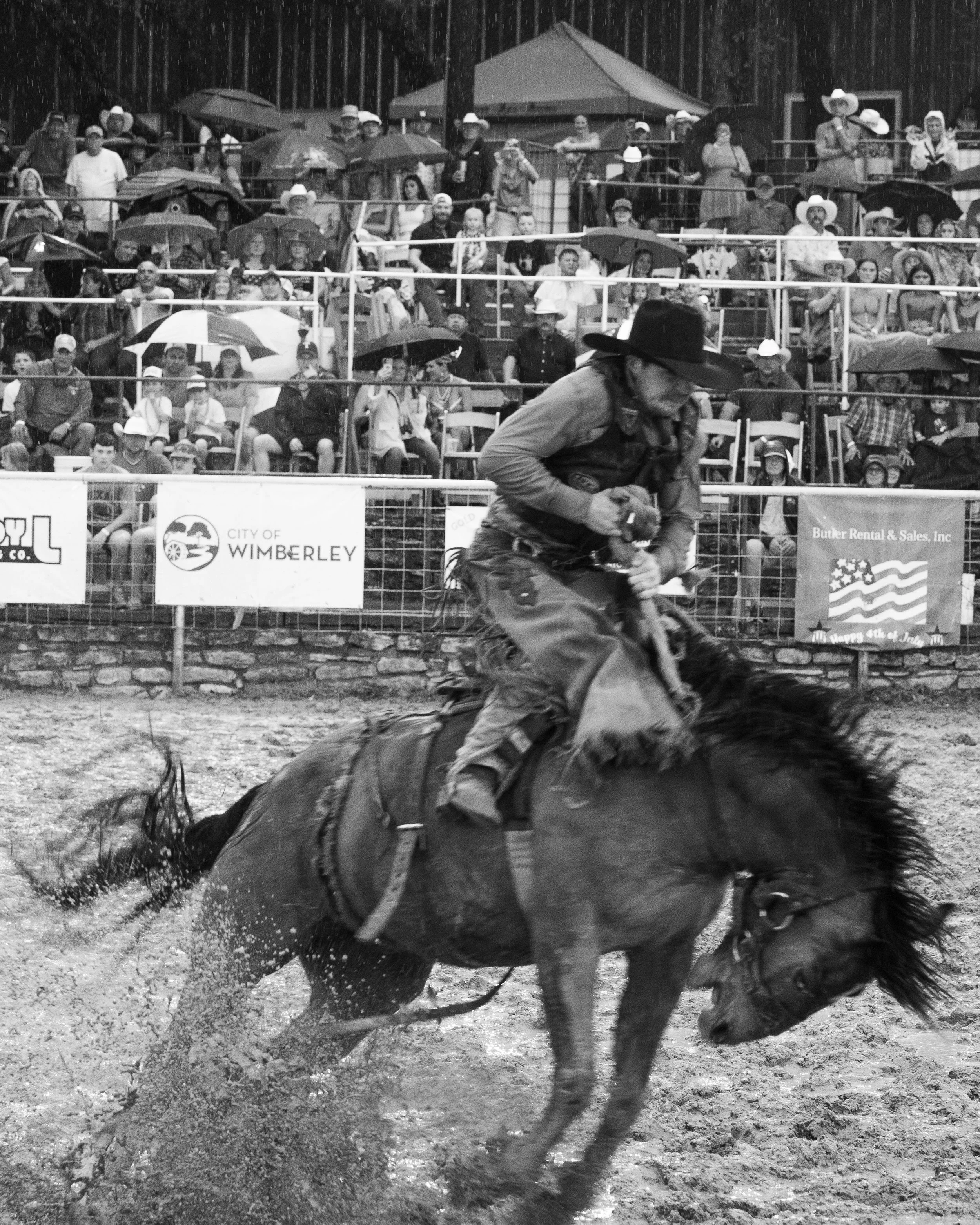 A person participating in a rodeo, riding a bucking horse, with an audience in the background holding umbrellas.