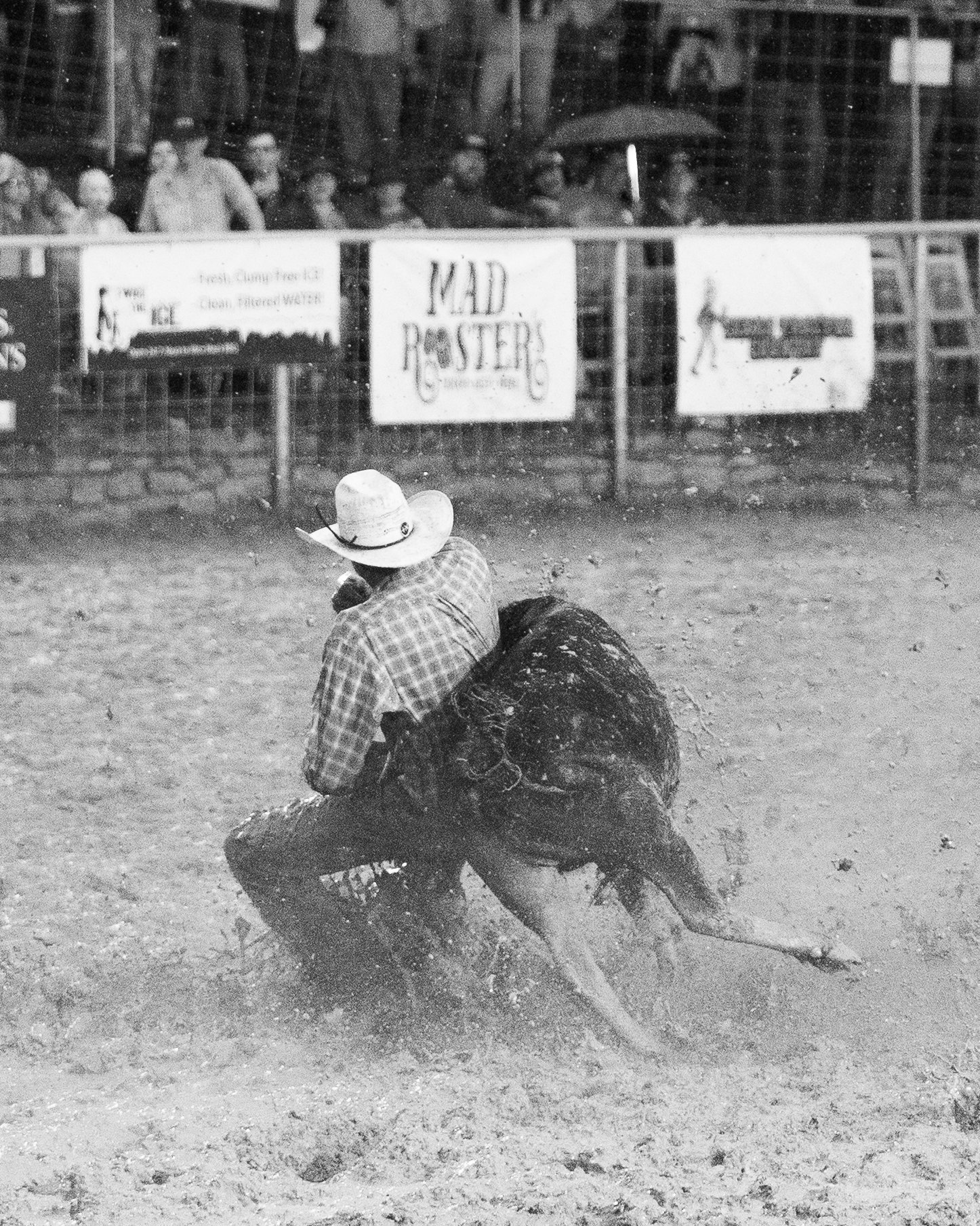 A cowboy riding a bucking bronco during a rodeo event, with spectators watching behind a fence.