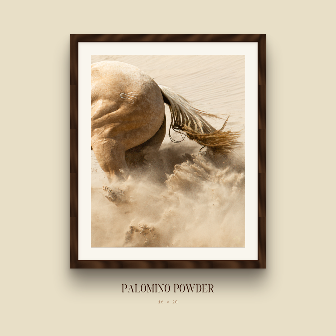 02_palomino_powder+%281%29.png