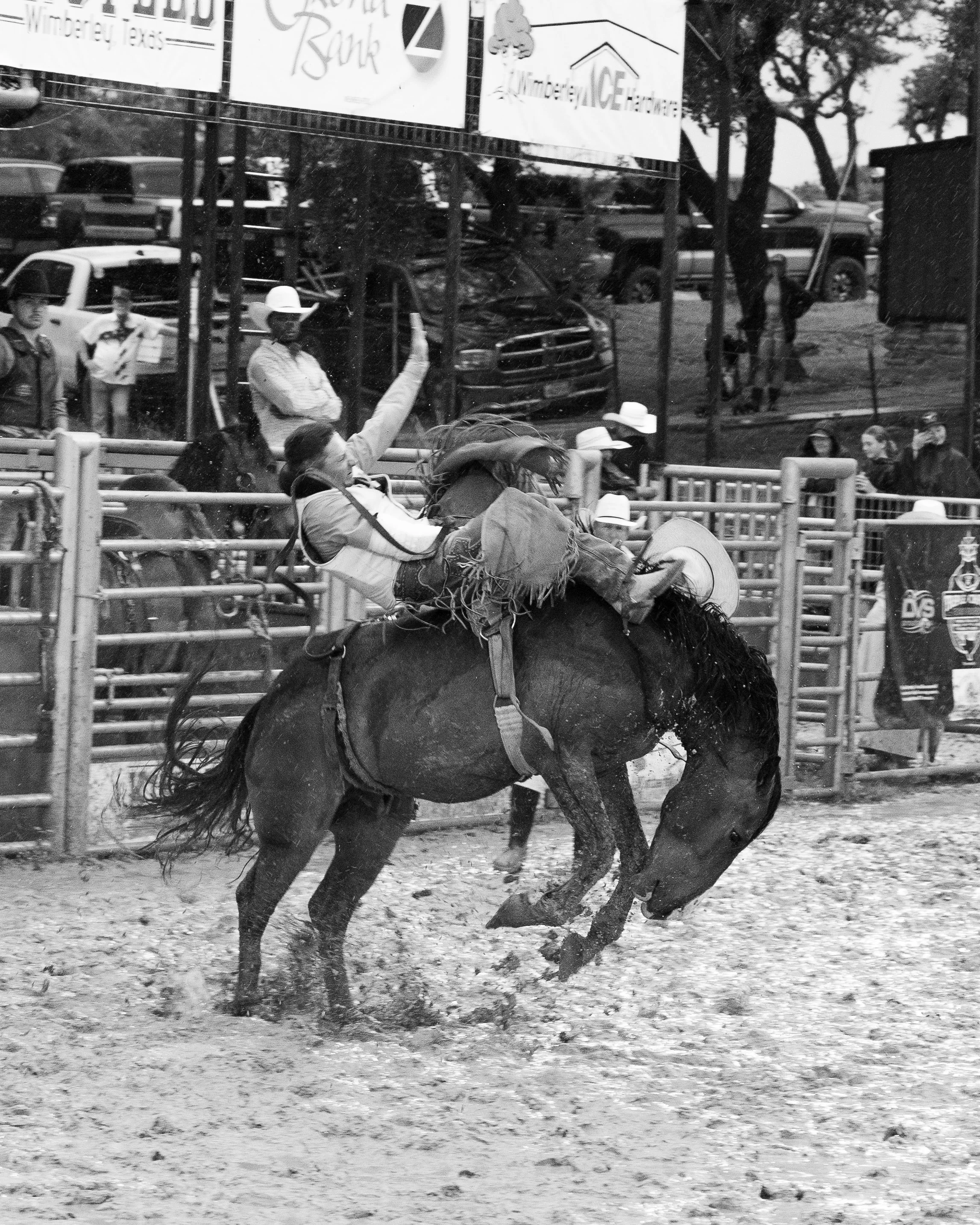 A woman riding a bucking horse during a rodeo event, with spectators and officials watching behind a fence.