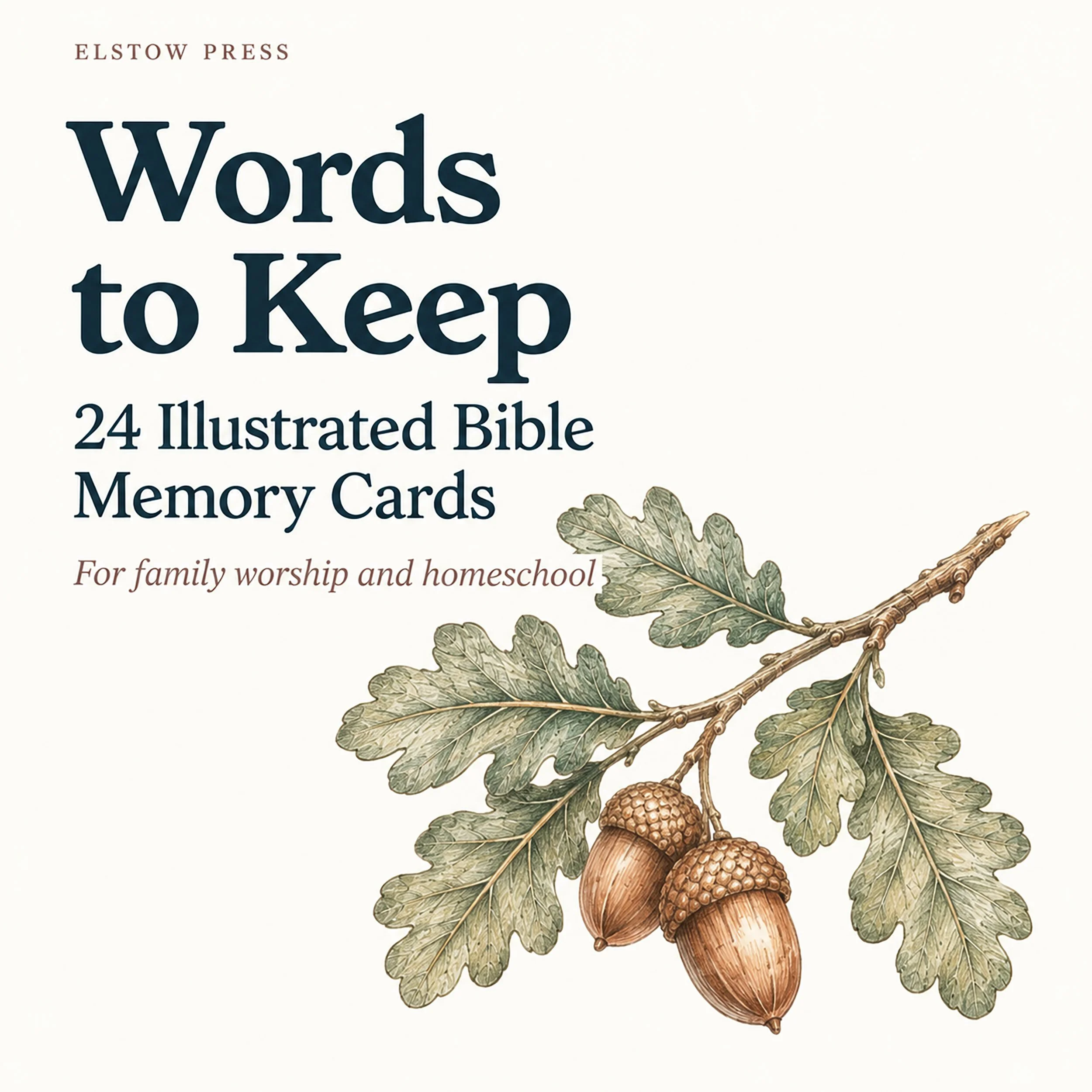 Illustrated Bible Memory Cards