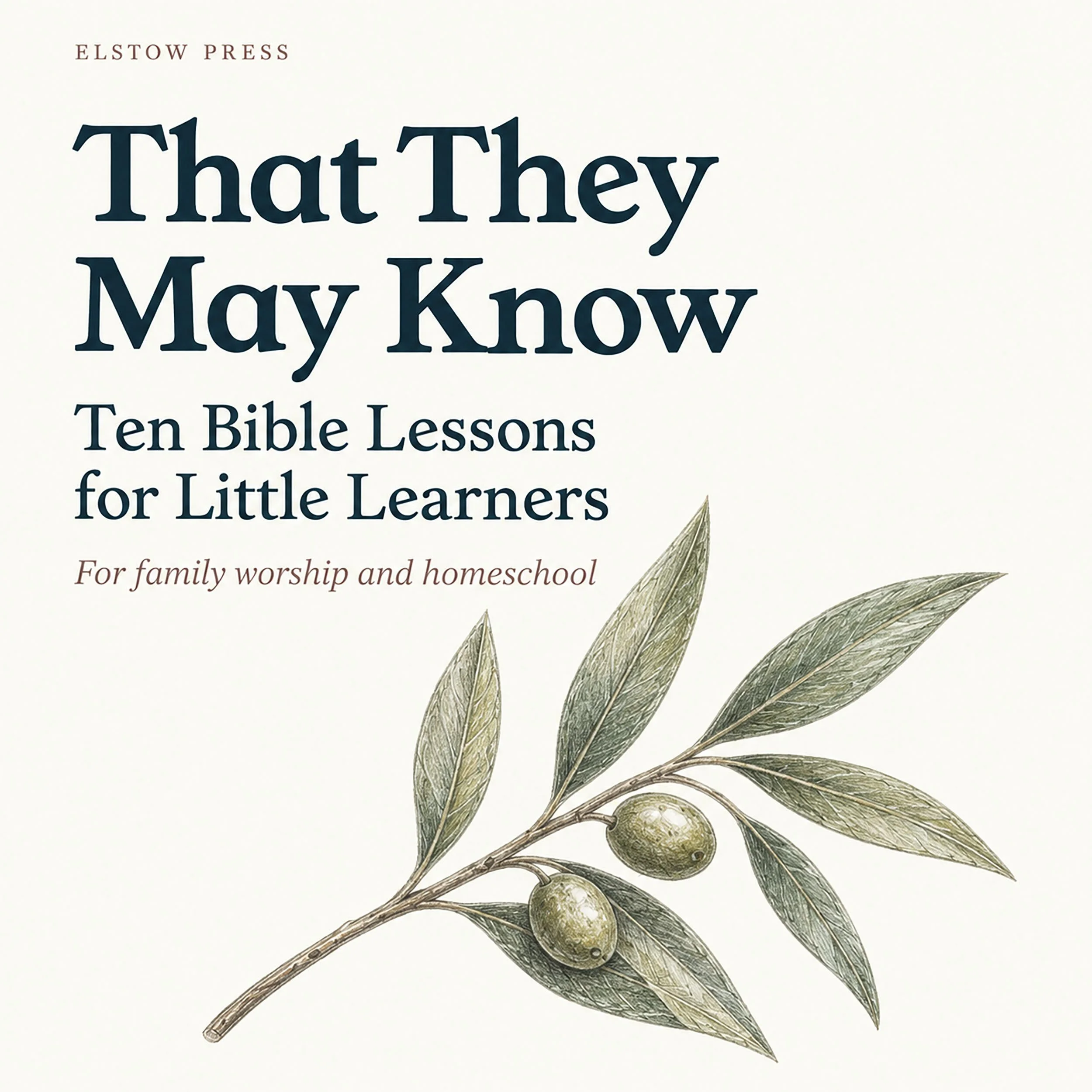 Bible Lessons for Little Learners