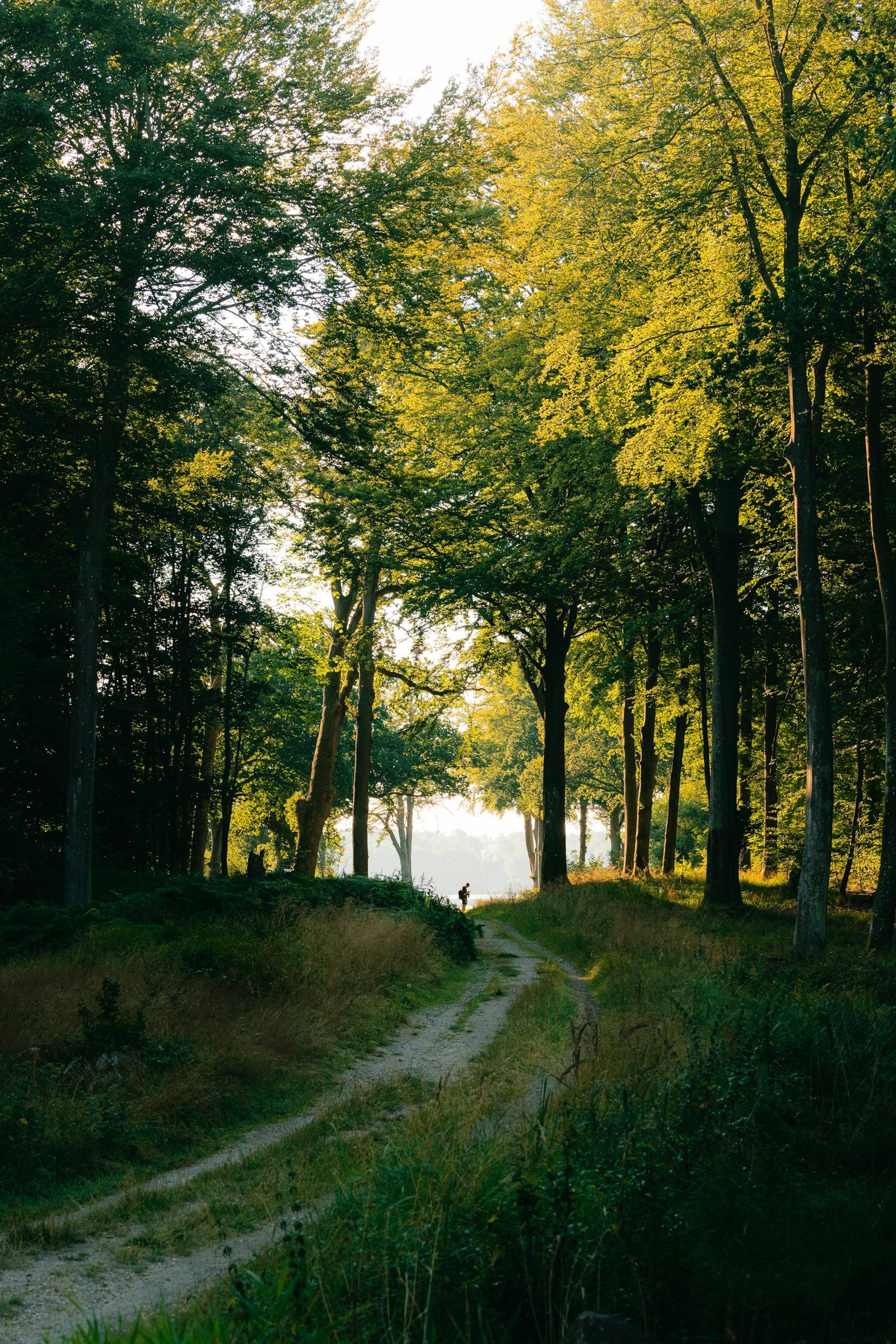 DEBAT: Naturnationalpark – for natur eller mennesker?