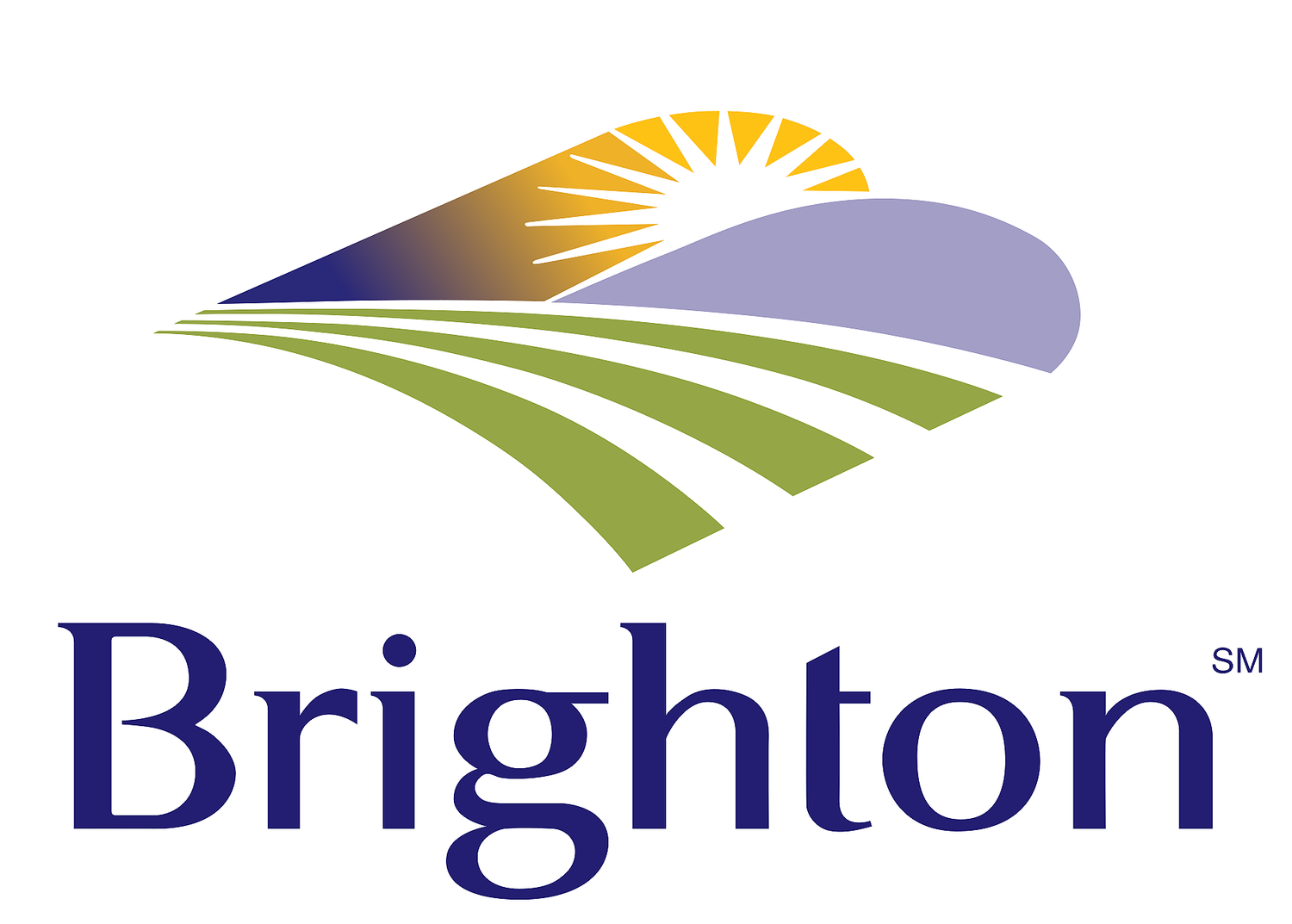 Brighton Resident Survey