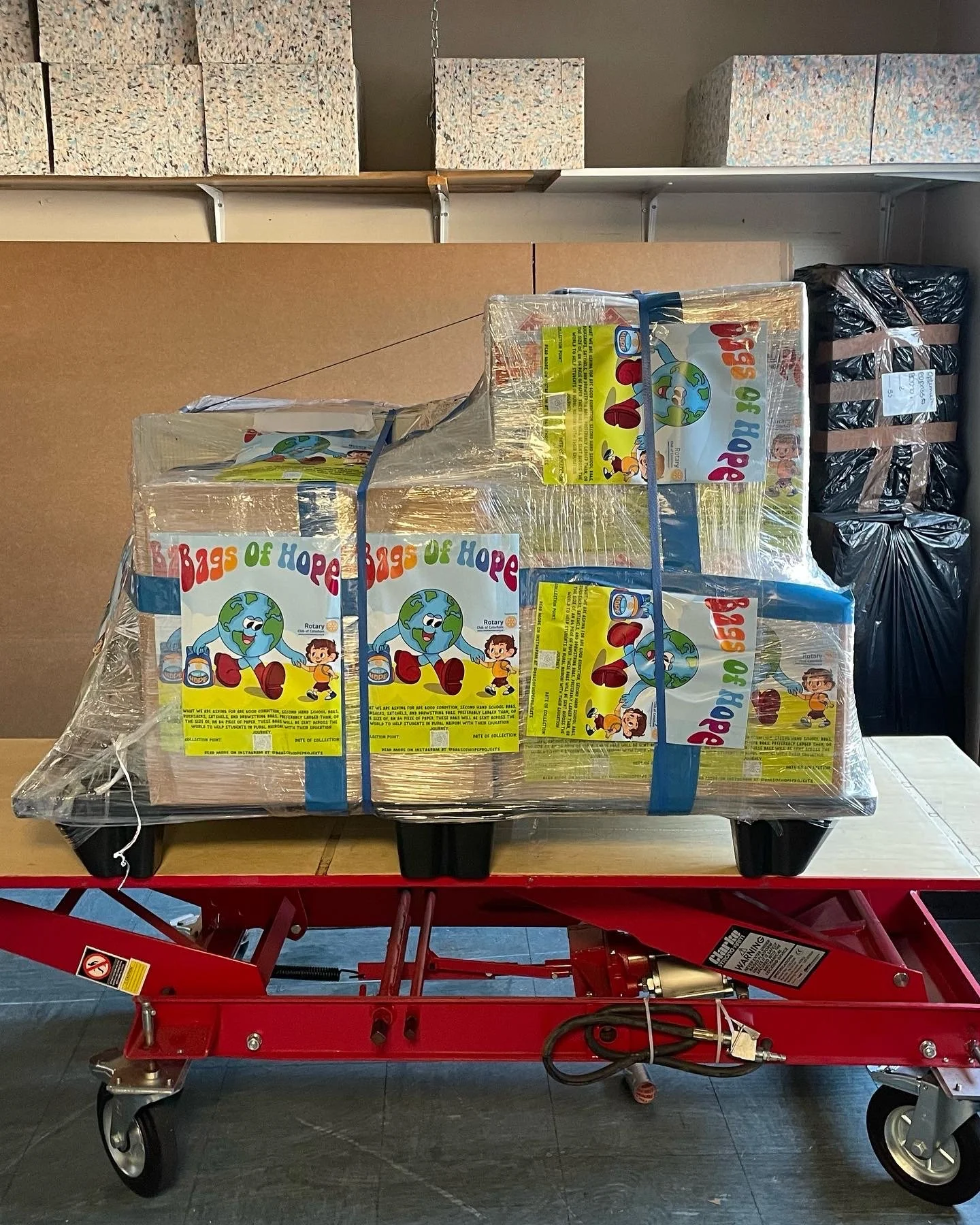 A red cart with large wheels holds a pallet wrapped in plastic containing boxes labeled "Bags of Hope" featuring a cartoon Earth, children, and colorful text.