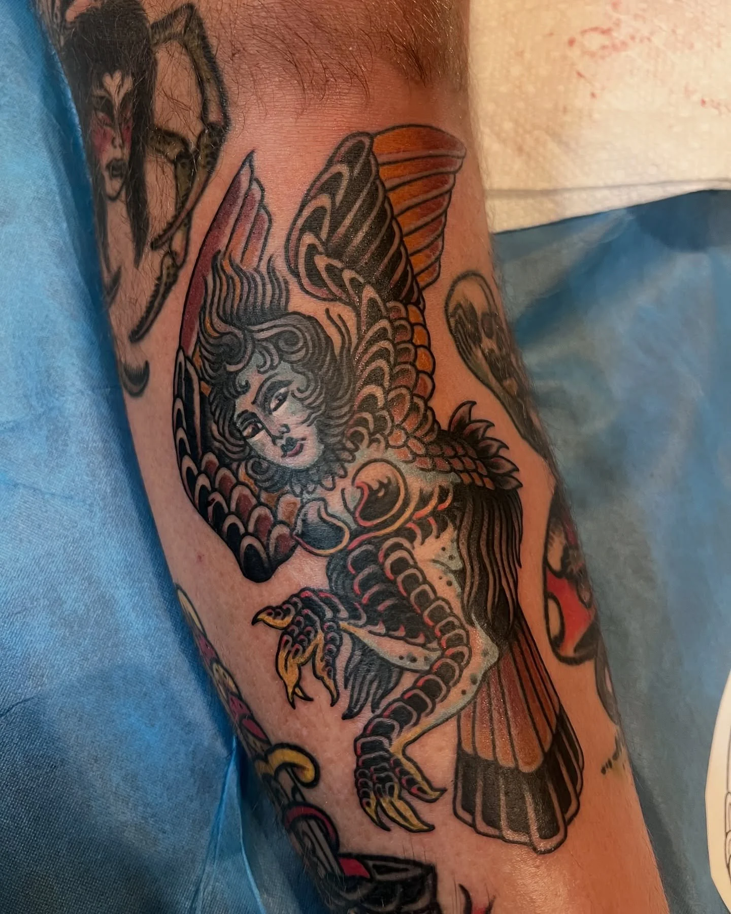 Harpy, tormentor of the shin 🔥🔥🔥