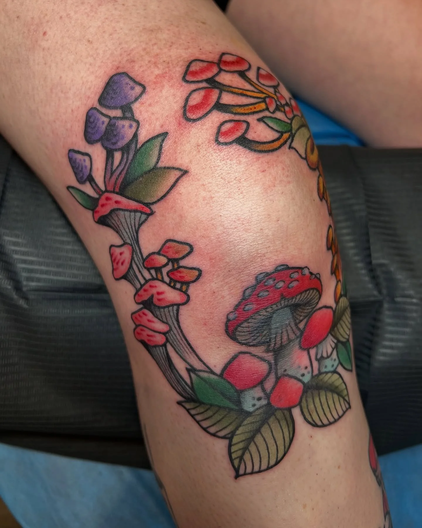 portal to the feywild 🍄🍄&zwj;🟫🍄🍄&zwj;🟫🍄