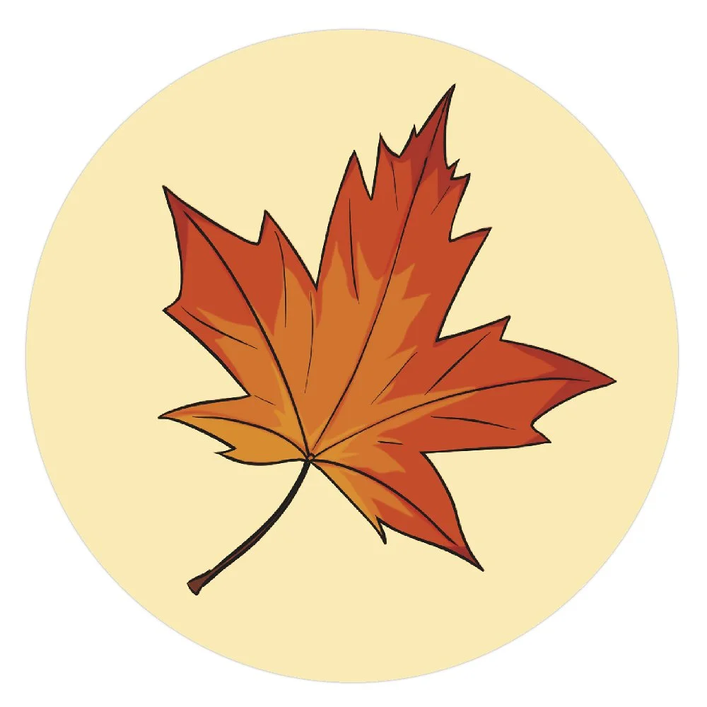 buttonmaple.jpg