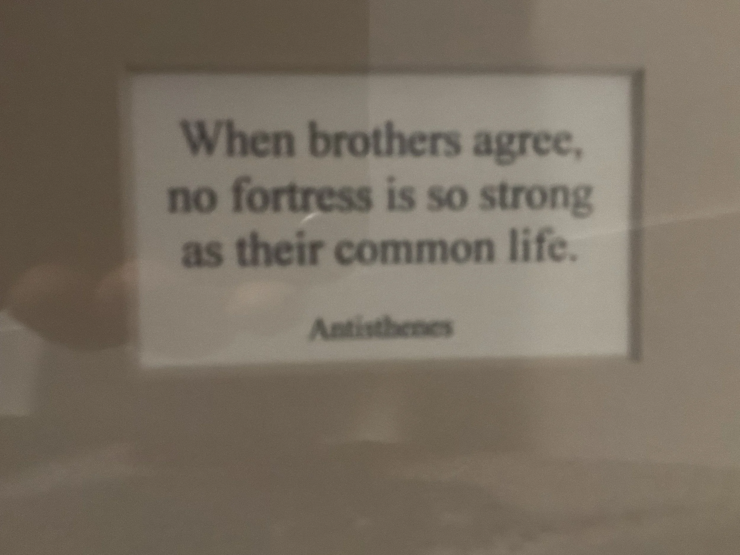 IMG_1059.jpeg