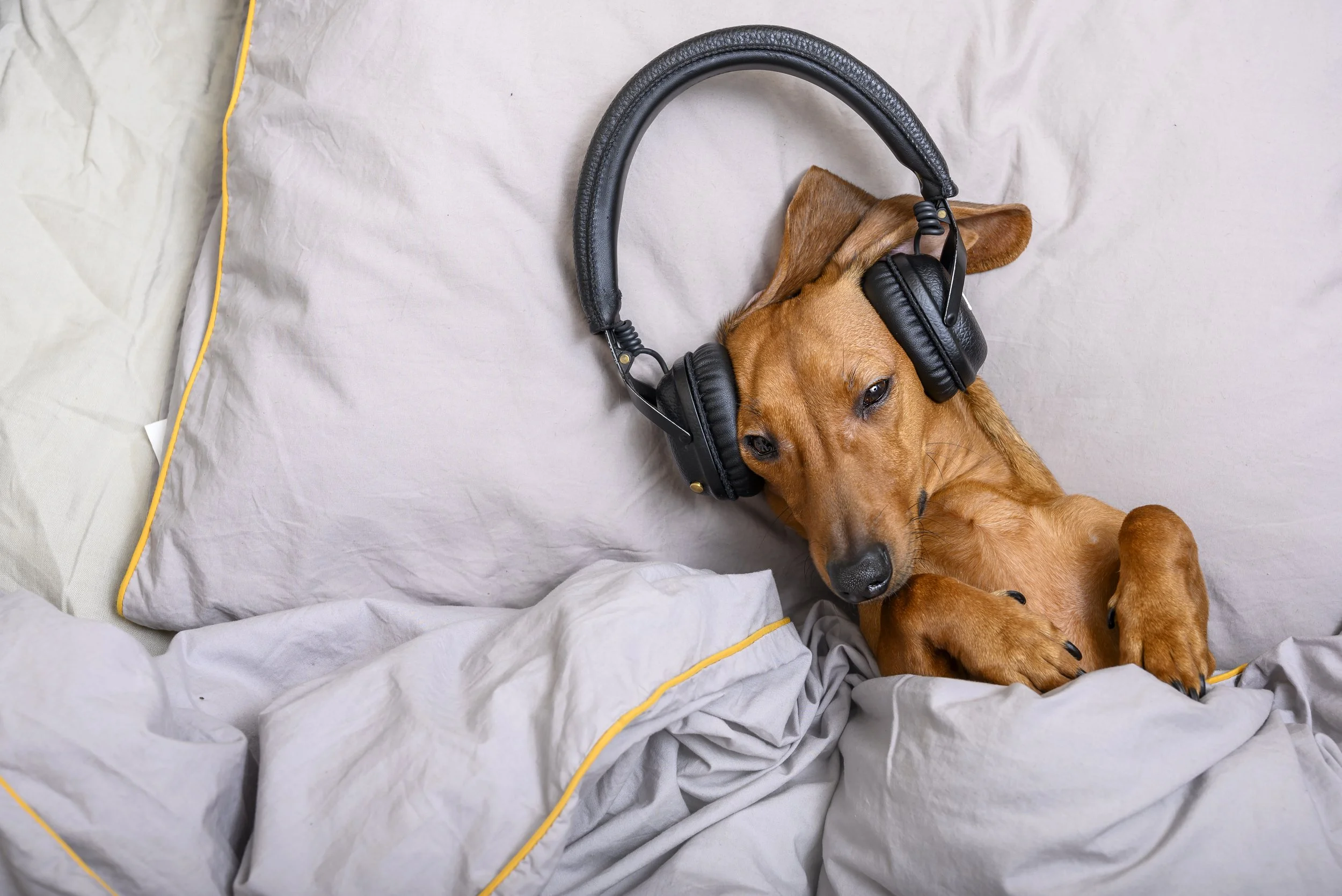 A Link Between Sleep &amp; Hearing Loss? 