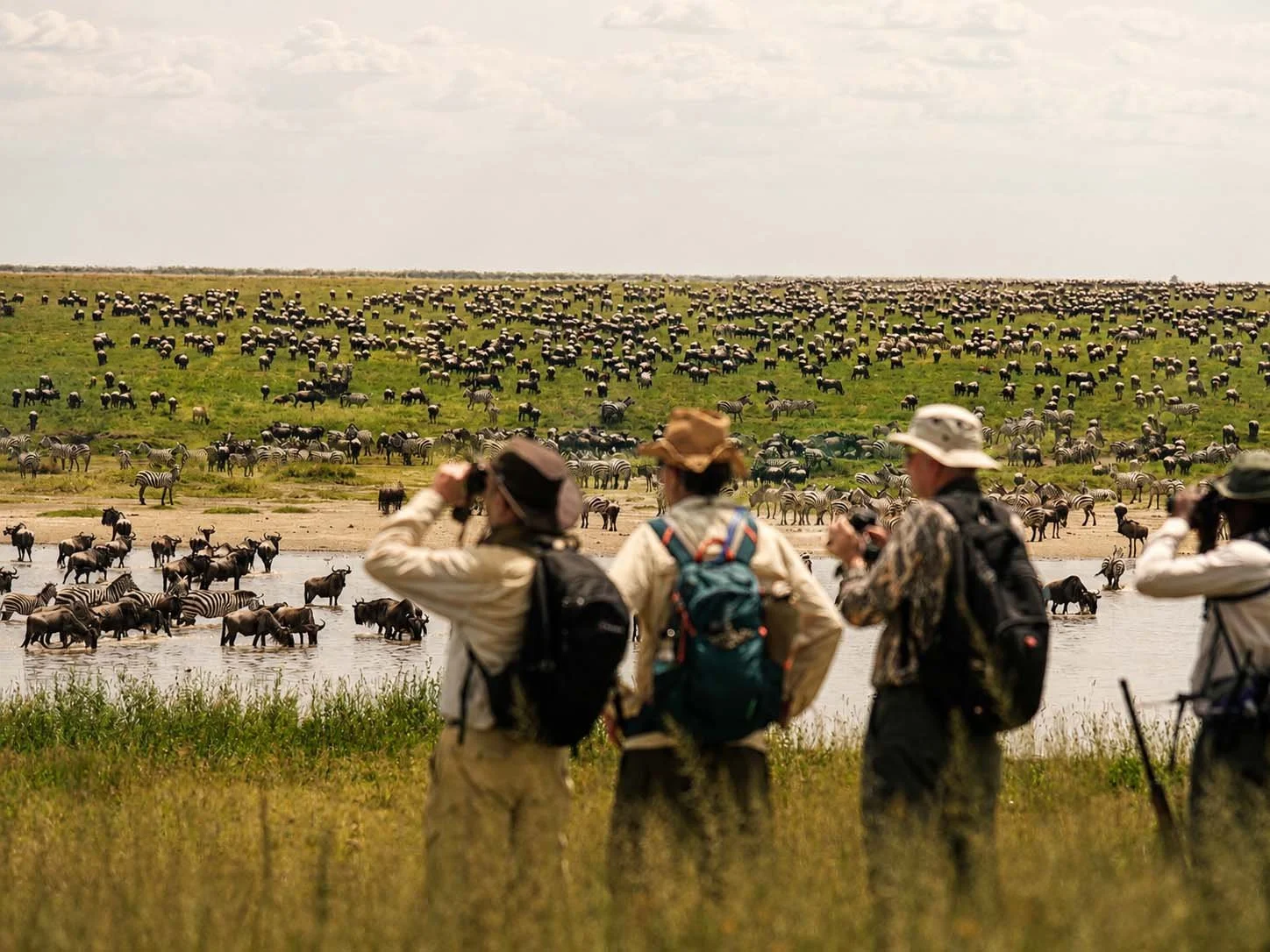 Tourists observing a large herd of zebras and wildebeests crossing a river in a savannah landscape.