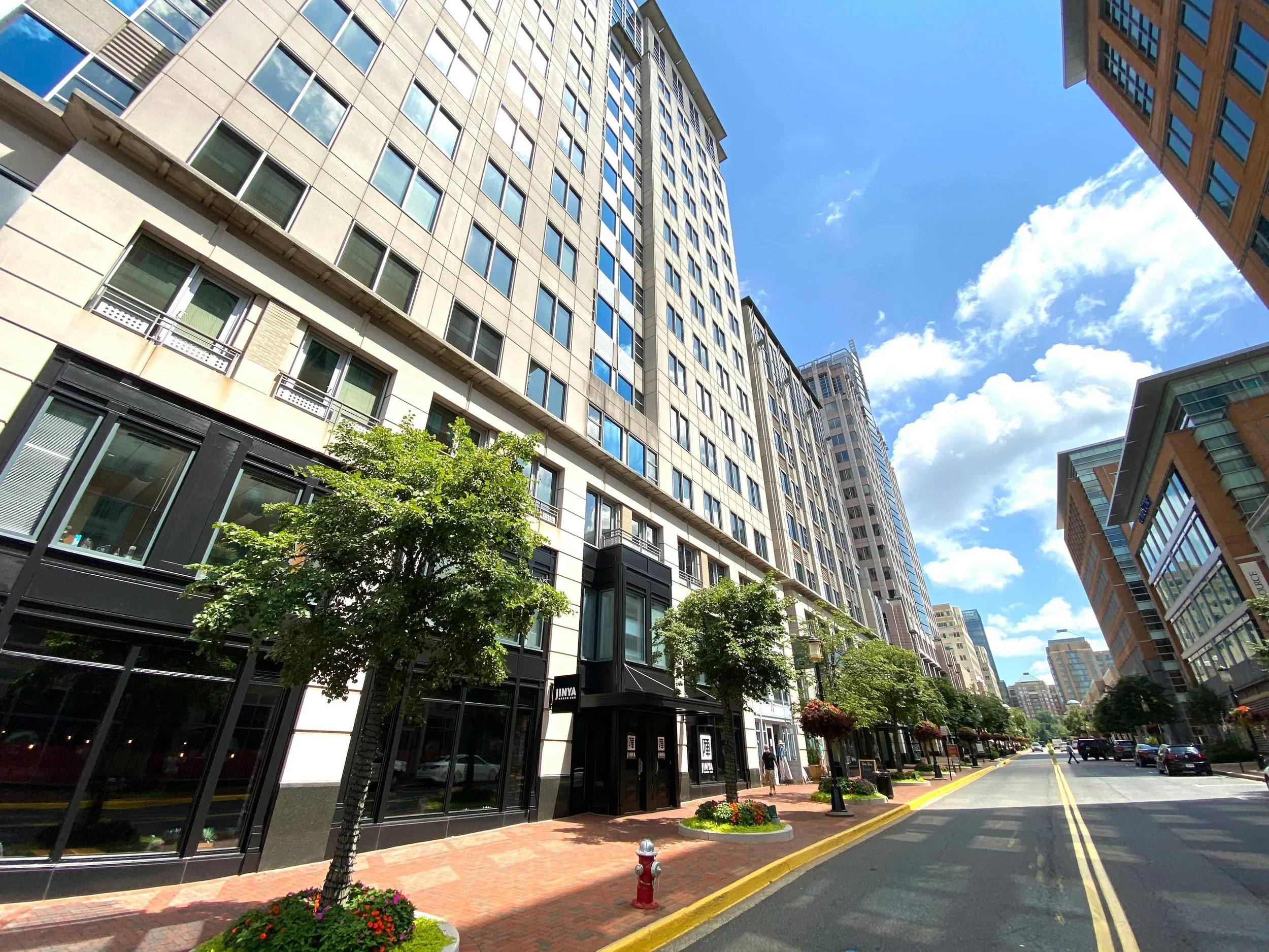 A city street lined with tall modern buildings, trees, and sidewalk with flower planters, on a sunny day with blue sky and clouds.
