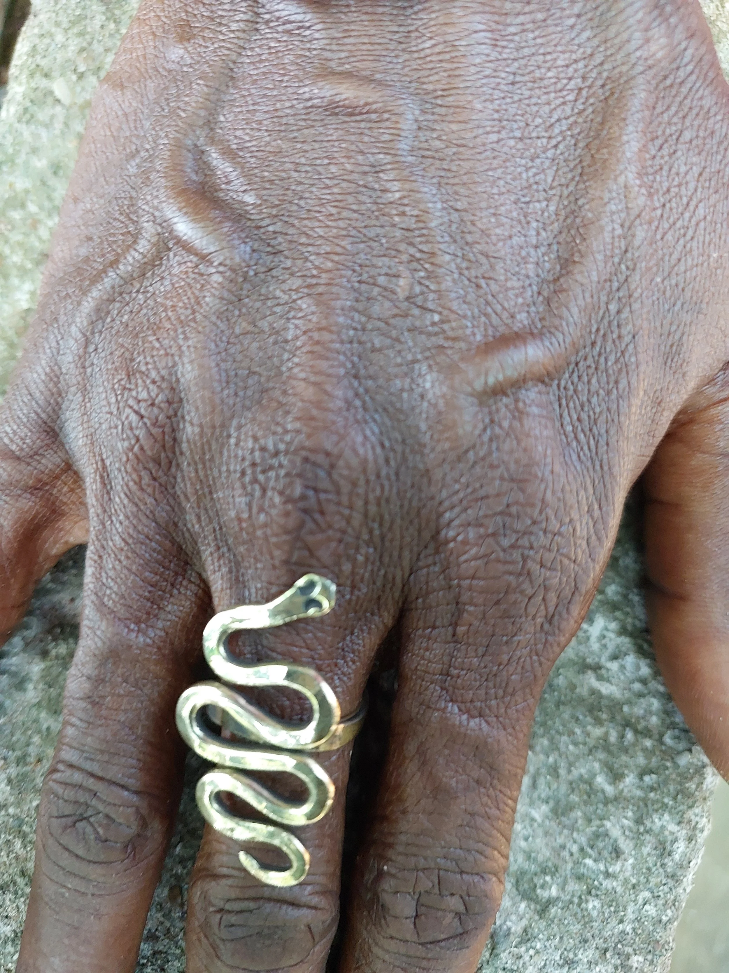 The Serpent Ring