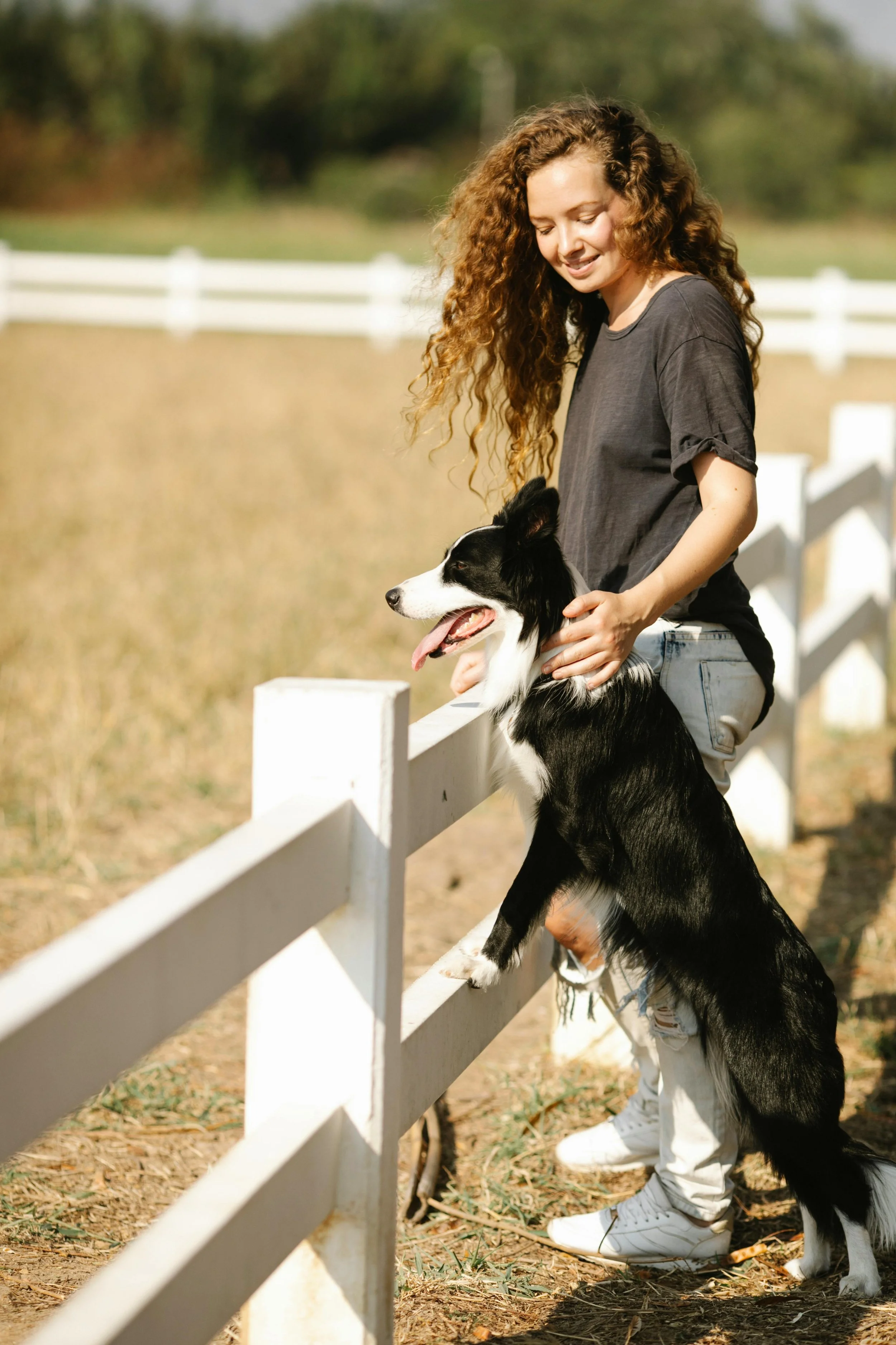 Medium dog enjoying playtime and supervised boarding in a fenced yard in Kennewick, WA.