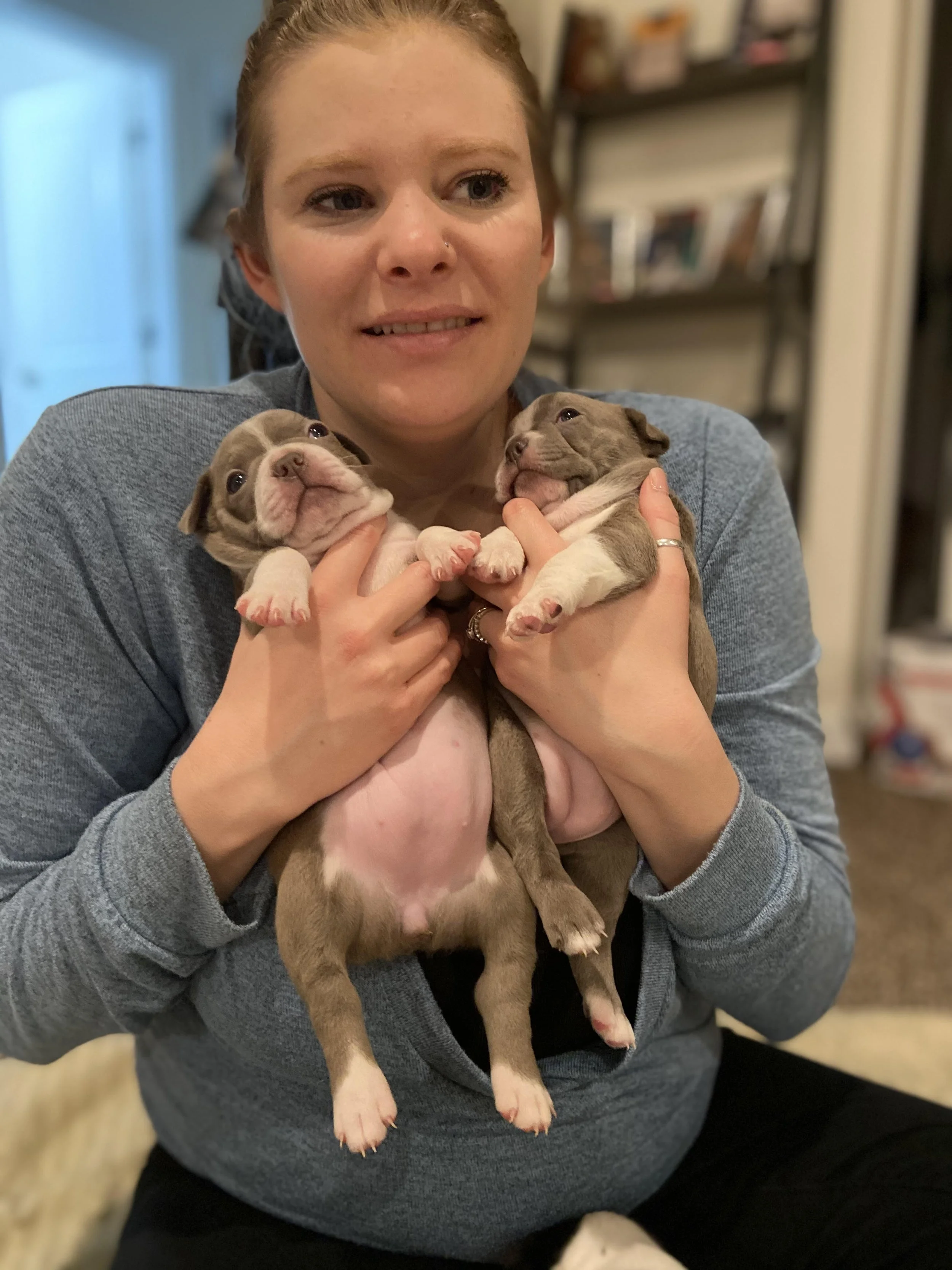 Dog groomer in Kennewick, Washington gently holding two small puppies during a grooming and care session, showcasing a calm, safe, and hands-on environment for young dogs.