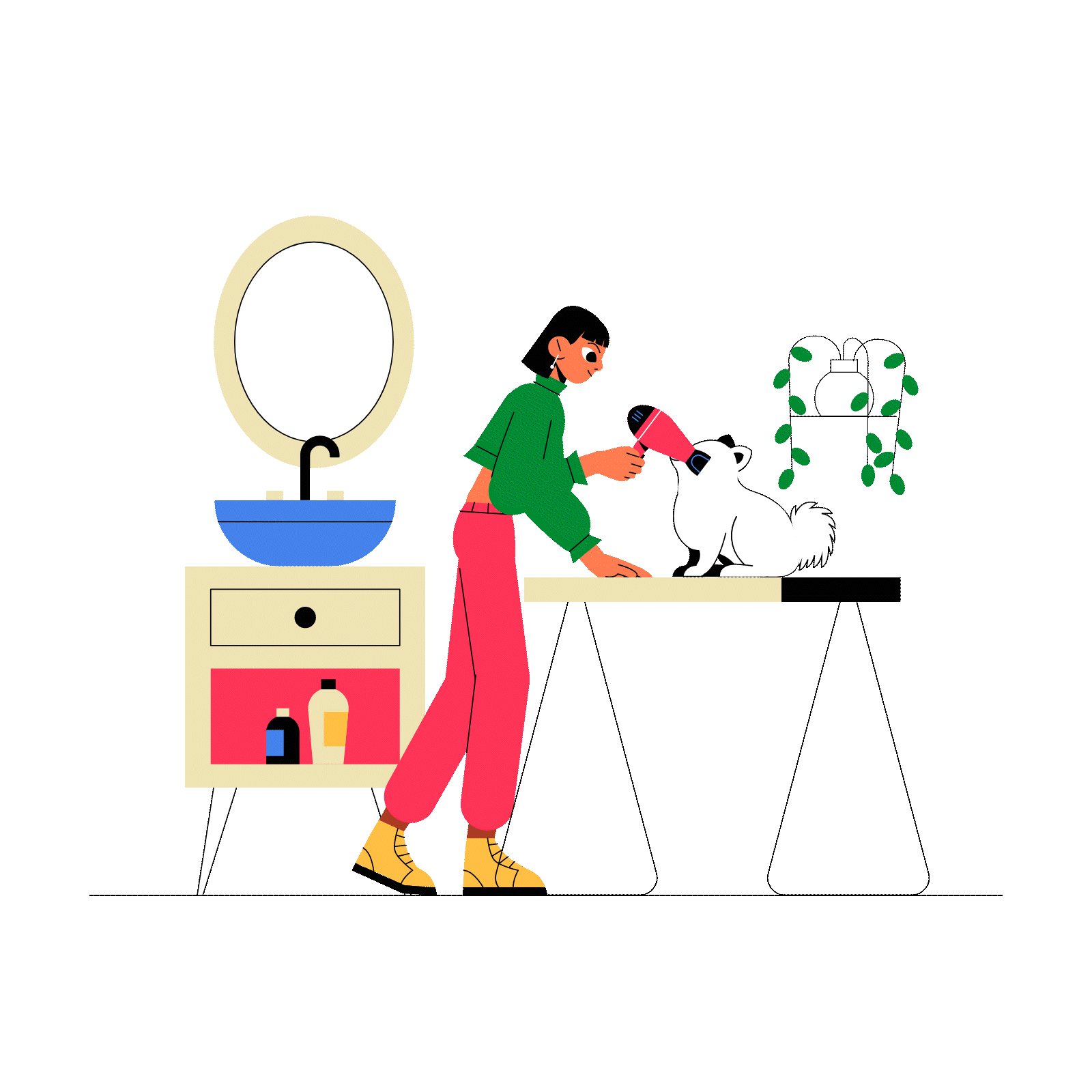 A woman grooming a small white dog with black markings on a grooming table in a room with a yellow background. There is a mirror on the wall, a small wardrobe with bottles, and a shelf with a plant in a white pot.