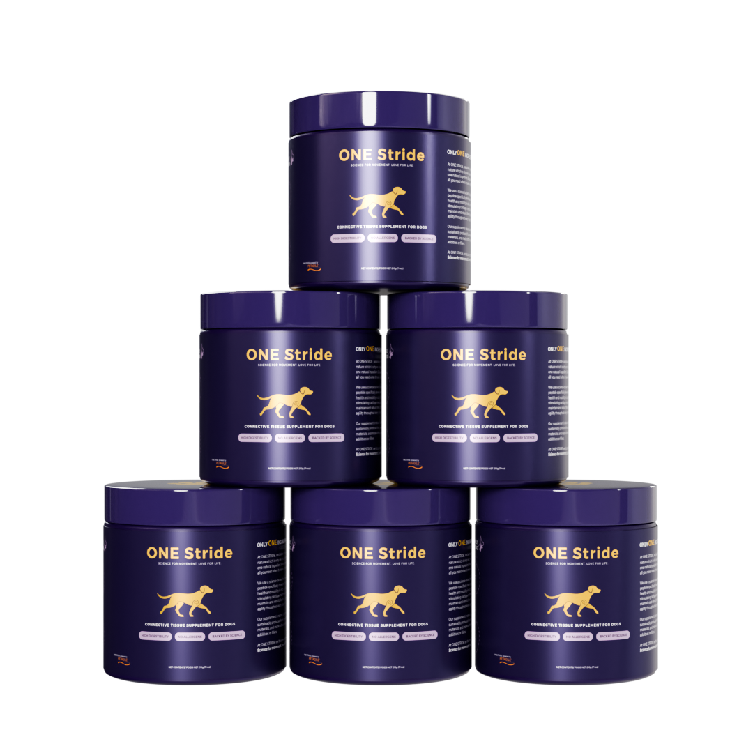 ONESTRIDE-SIXPackaging-Transparent-higherres-1.png