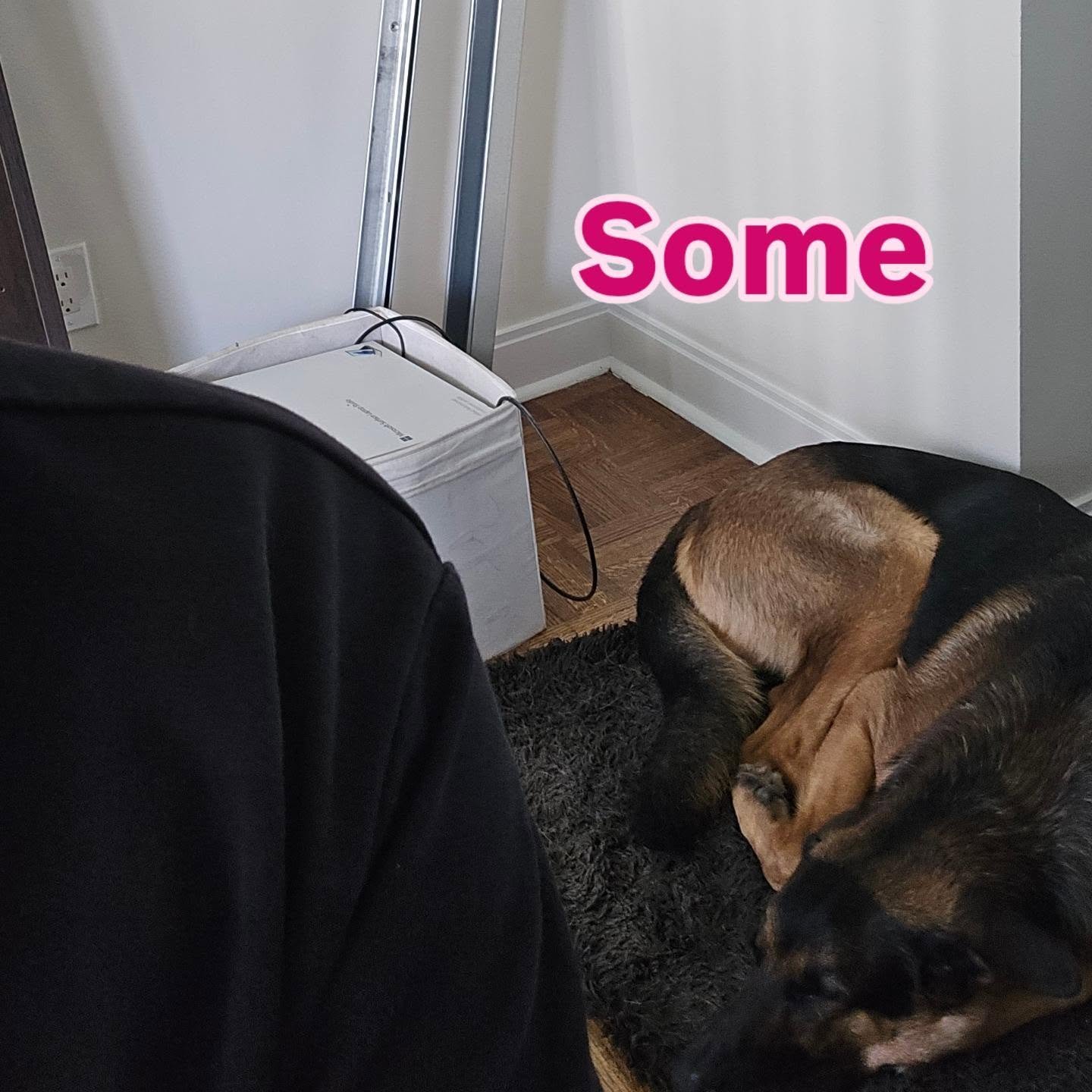 Movement feels better when recovery is part of the routine. A quiet morning, a long nap, and a little extra stillness go a long way for active pups. Strong mobility starts with rest. 

www.onestridepet.com

⭐Use code STRIDE15 for 15% Discount⭐

#dogl