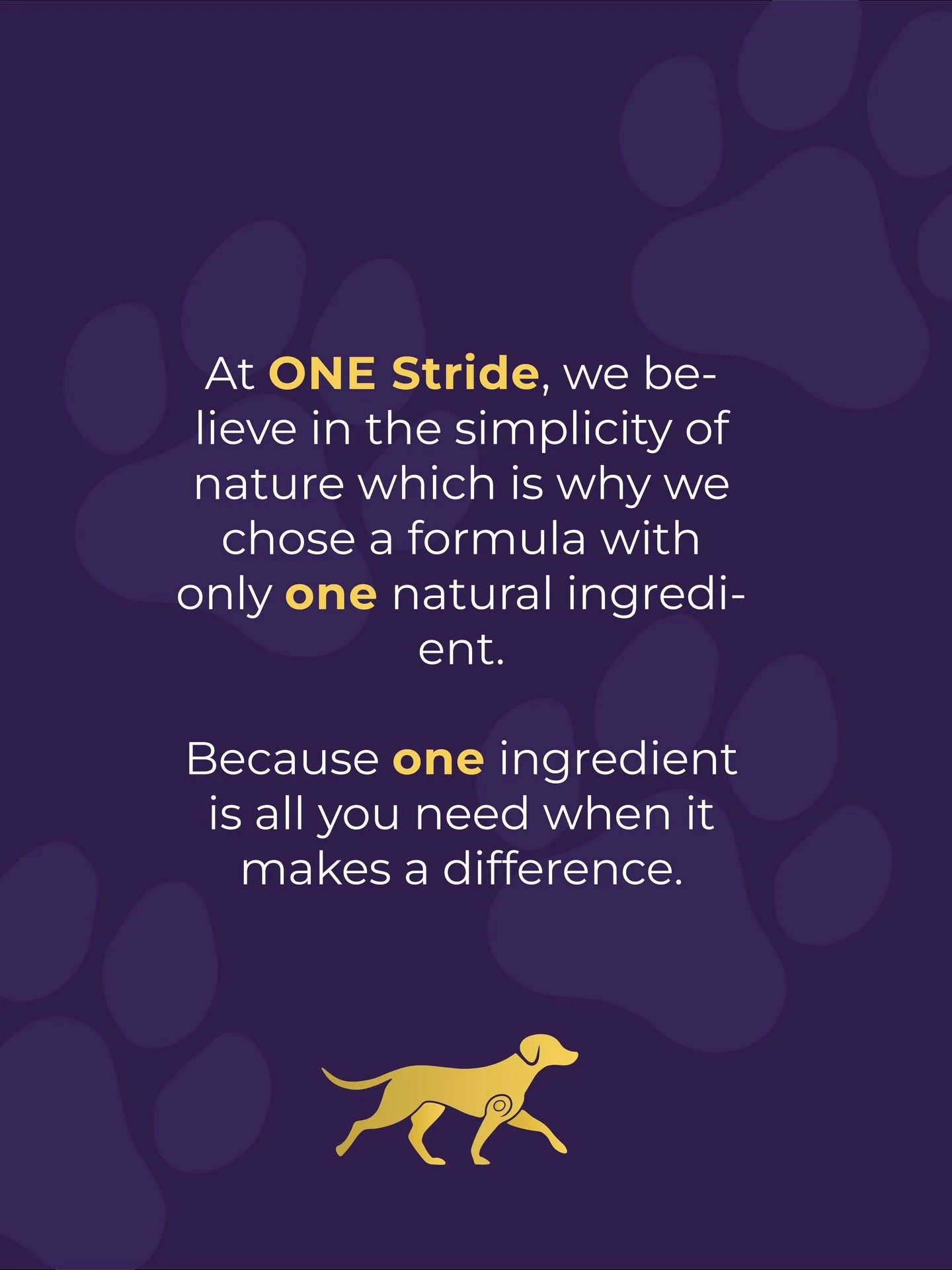 At ONE Stride, we believe in the simplicity of nature which is why we chose a formula with only one natural ingredient.

Because ONE ingredient is all you need when it makes a difference.

Derived from pure animal collagen, our supplement is natural,