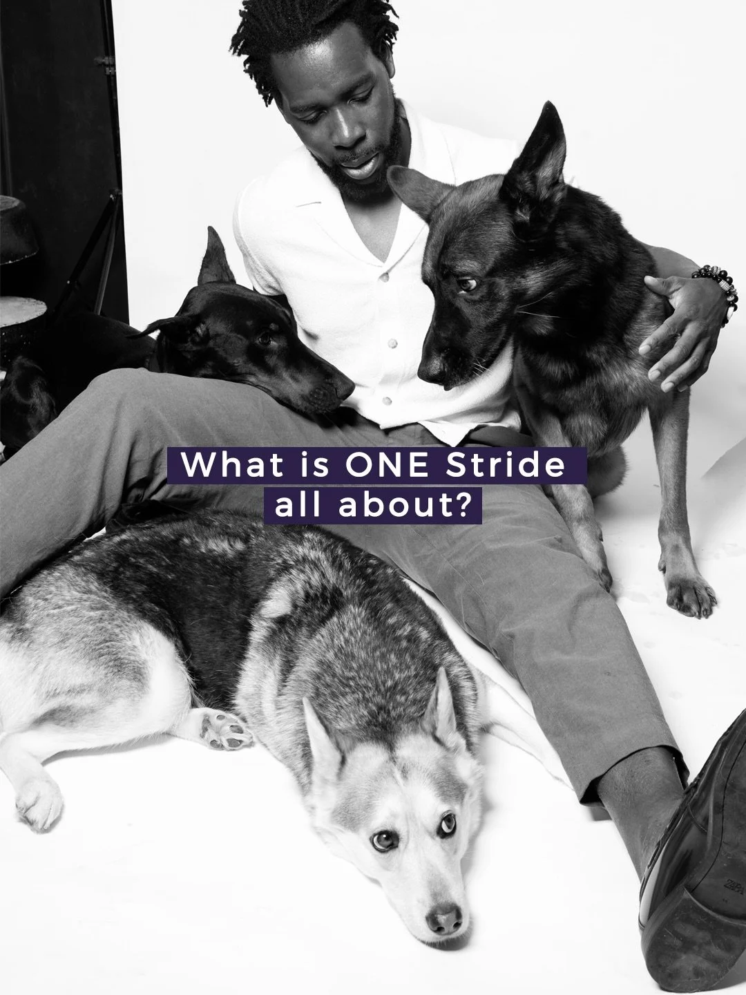 Reintroducing ONE Stride for those just joining us.

We&rsquo;re here to help you improve your dog&rsquo;s life one stride at a time! 🦮

Welcome to the pack! 🐾
