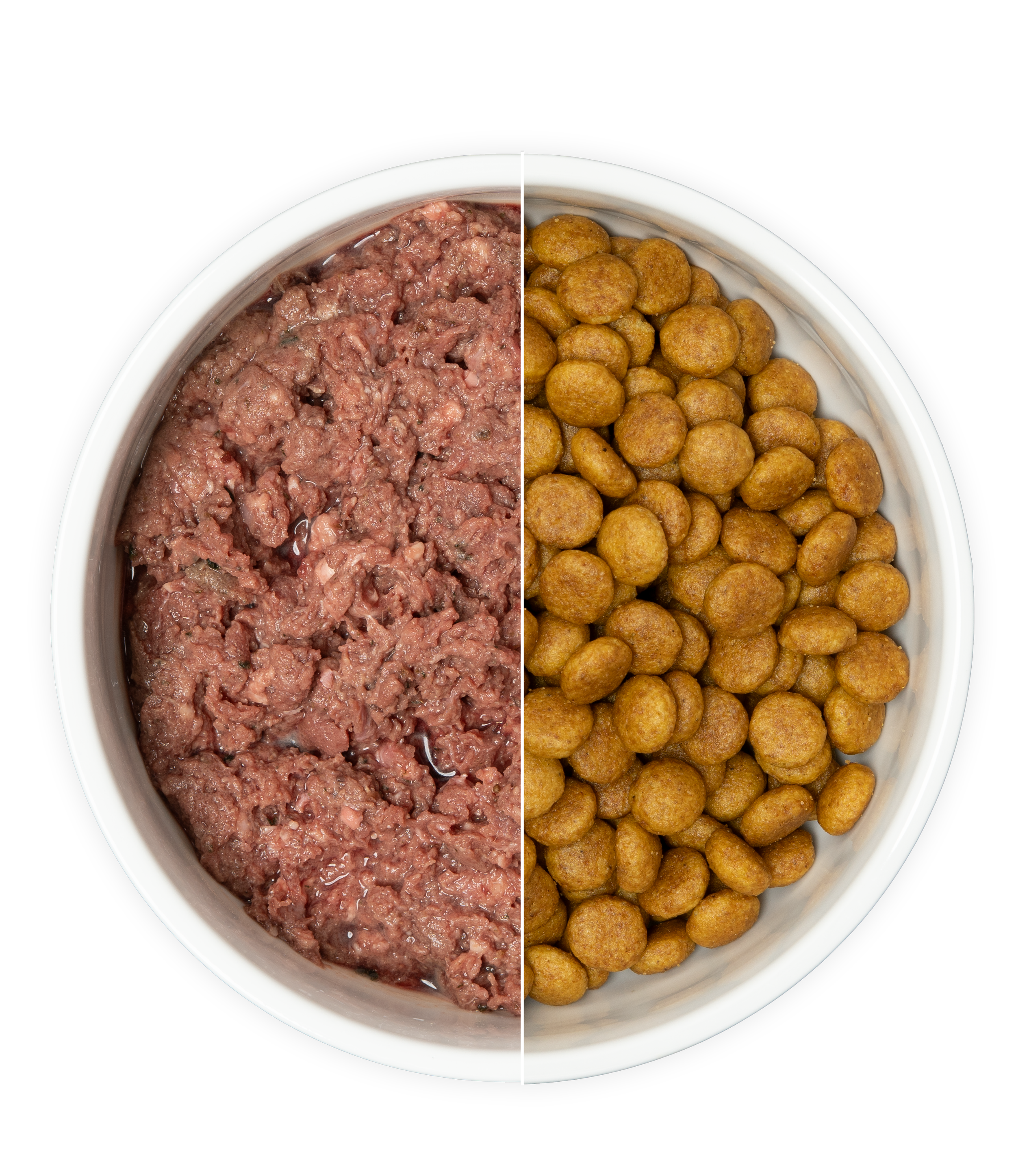 A white dish containing raw dog food on the left side and dry dog food on the right side.