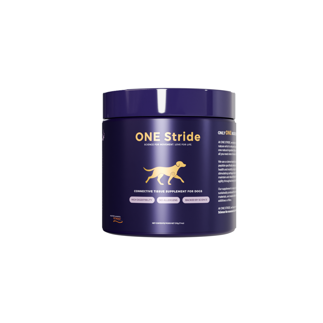ONESTRIDE-SinglePackaging-Transparent-higherres-2.png