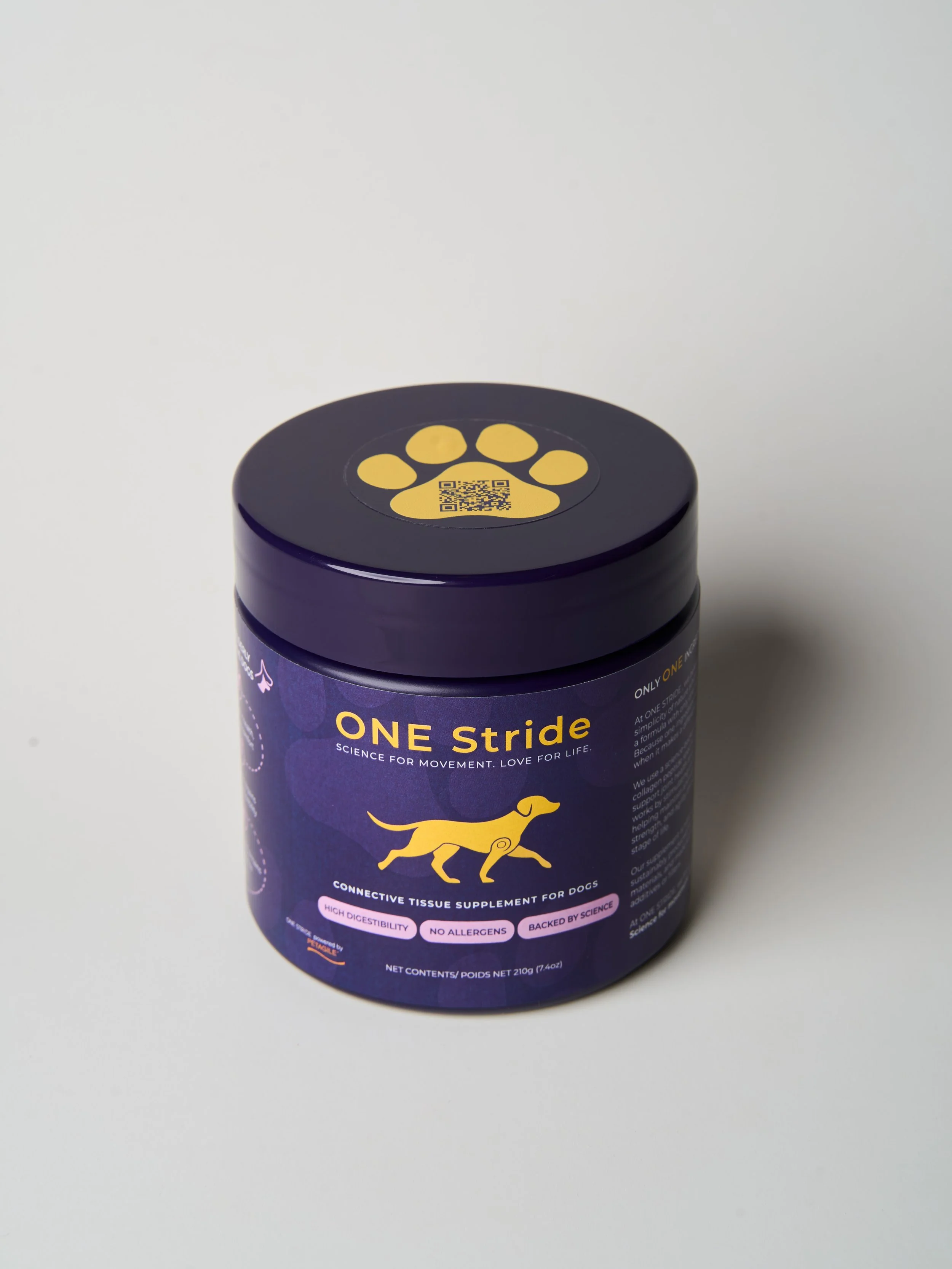 1015 - STRIDE_3.jpg