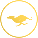 Yellow background with a stylized dog running in the center.